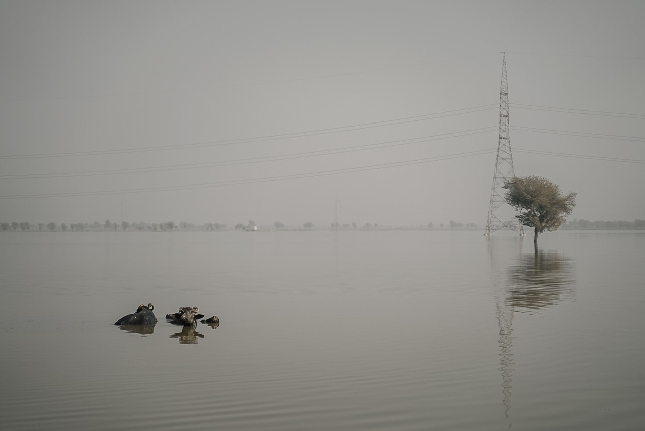 aftermath of flooding in Pakistan