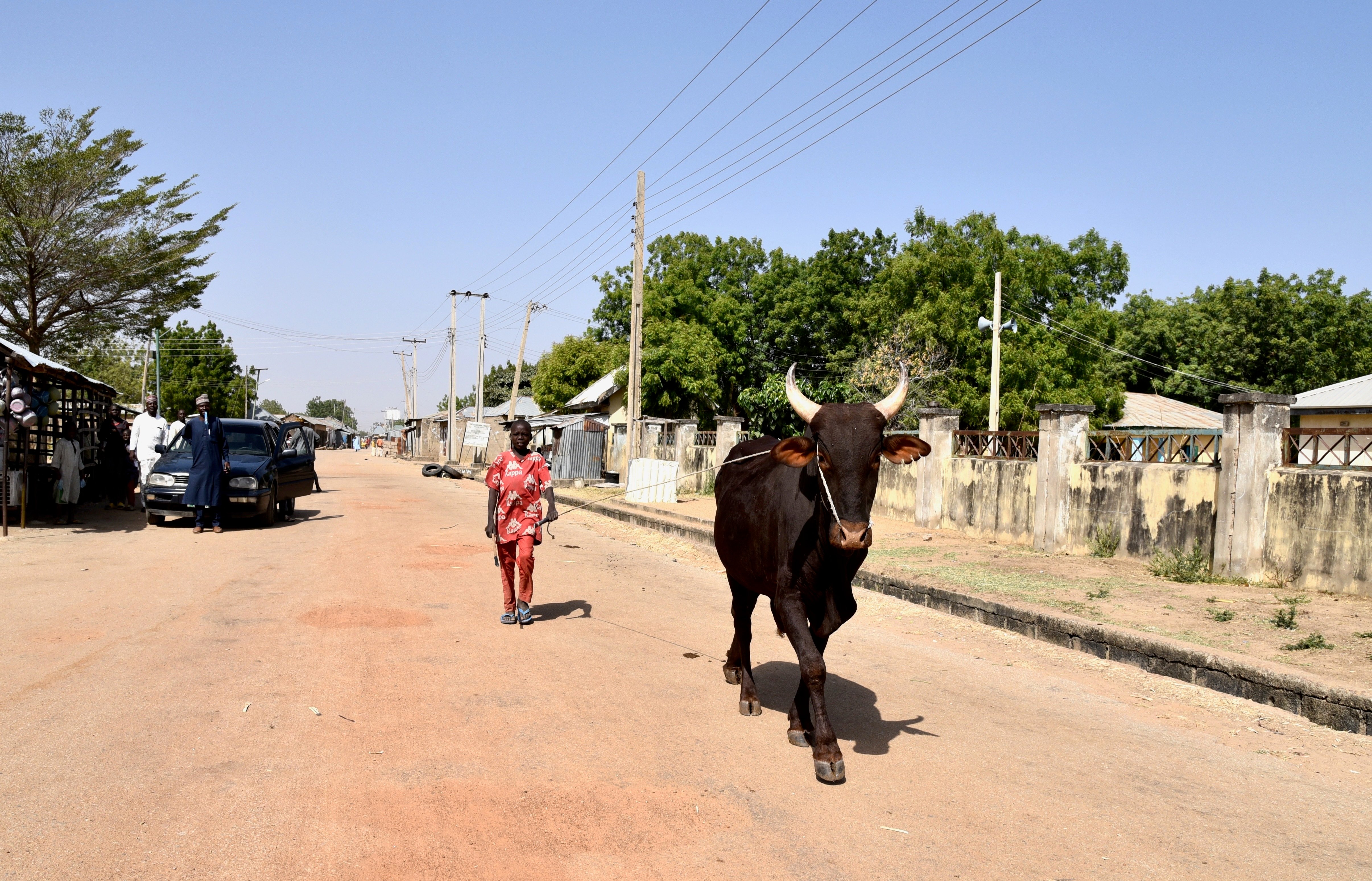 The bandit economy began with cattle rustling in places like Nahuche (shown here), but has expanded to include kidnapping and extortion.