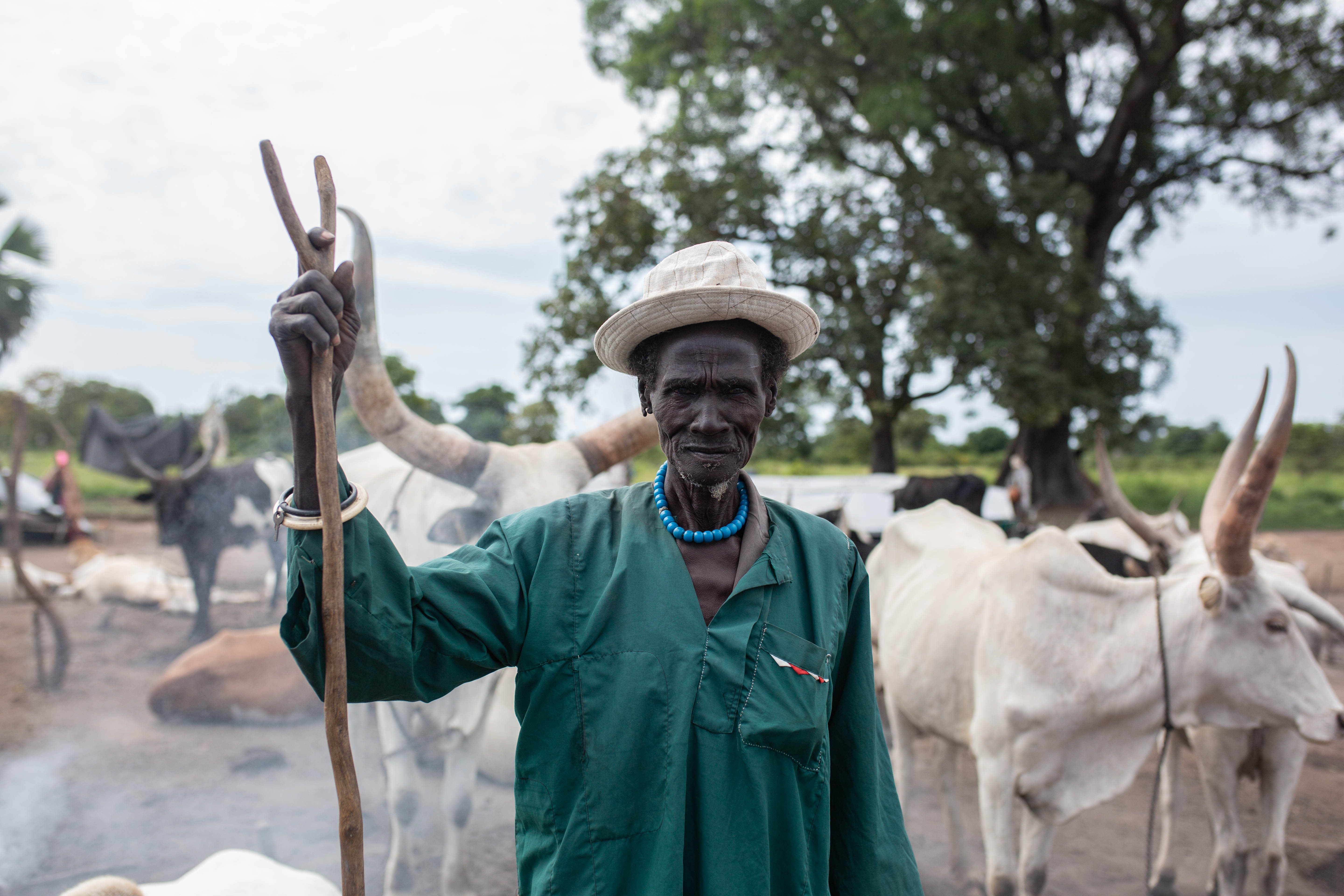 A cattle camp near Tonj town in Warrap state. Political elites own vast herds and are often implicated in local conflicts across the country. 