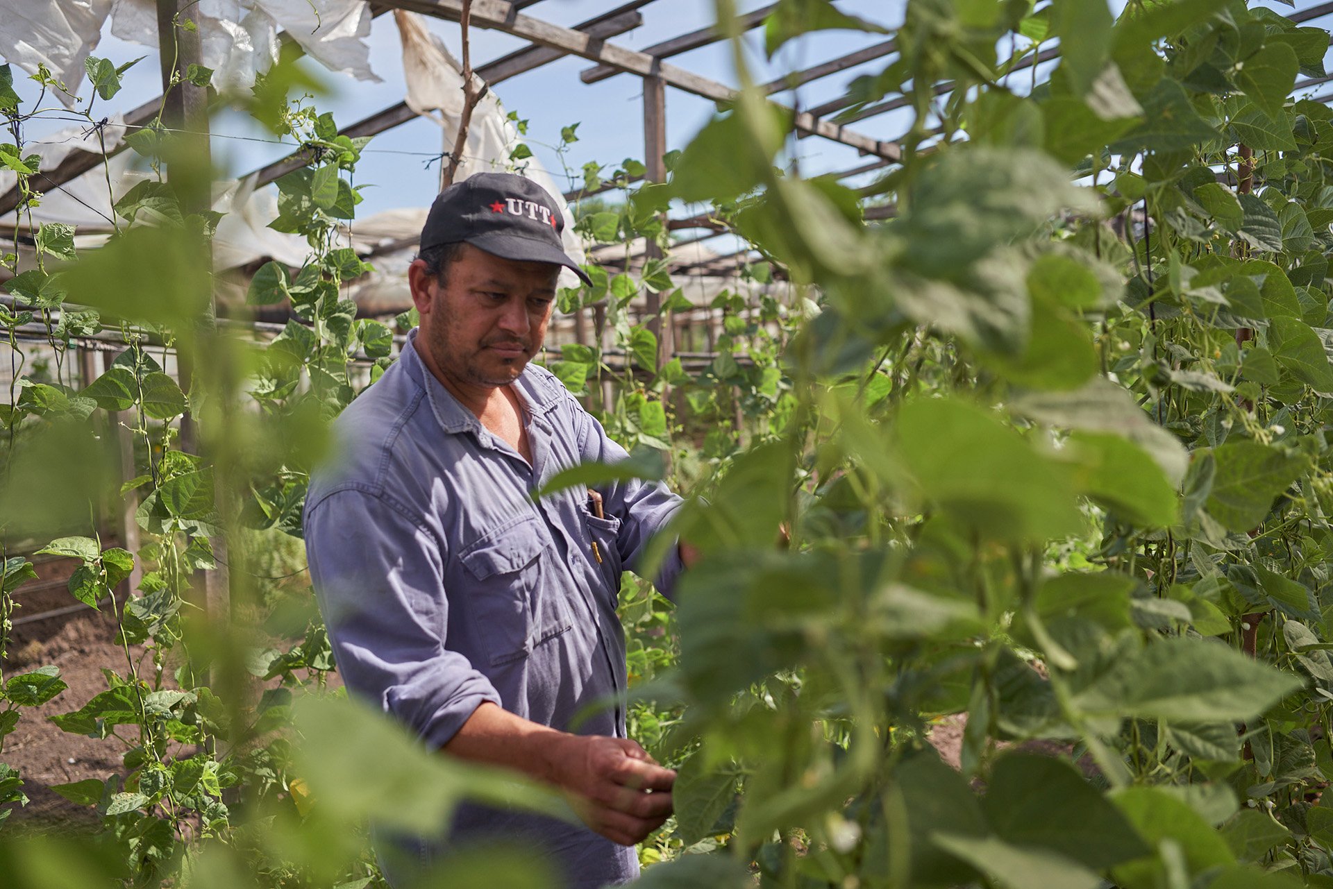 Javier Paniagua teaches agroecology to farmers and stresses that policymakers need to stop treating food just as a commodity to be traded and sold. 