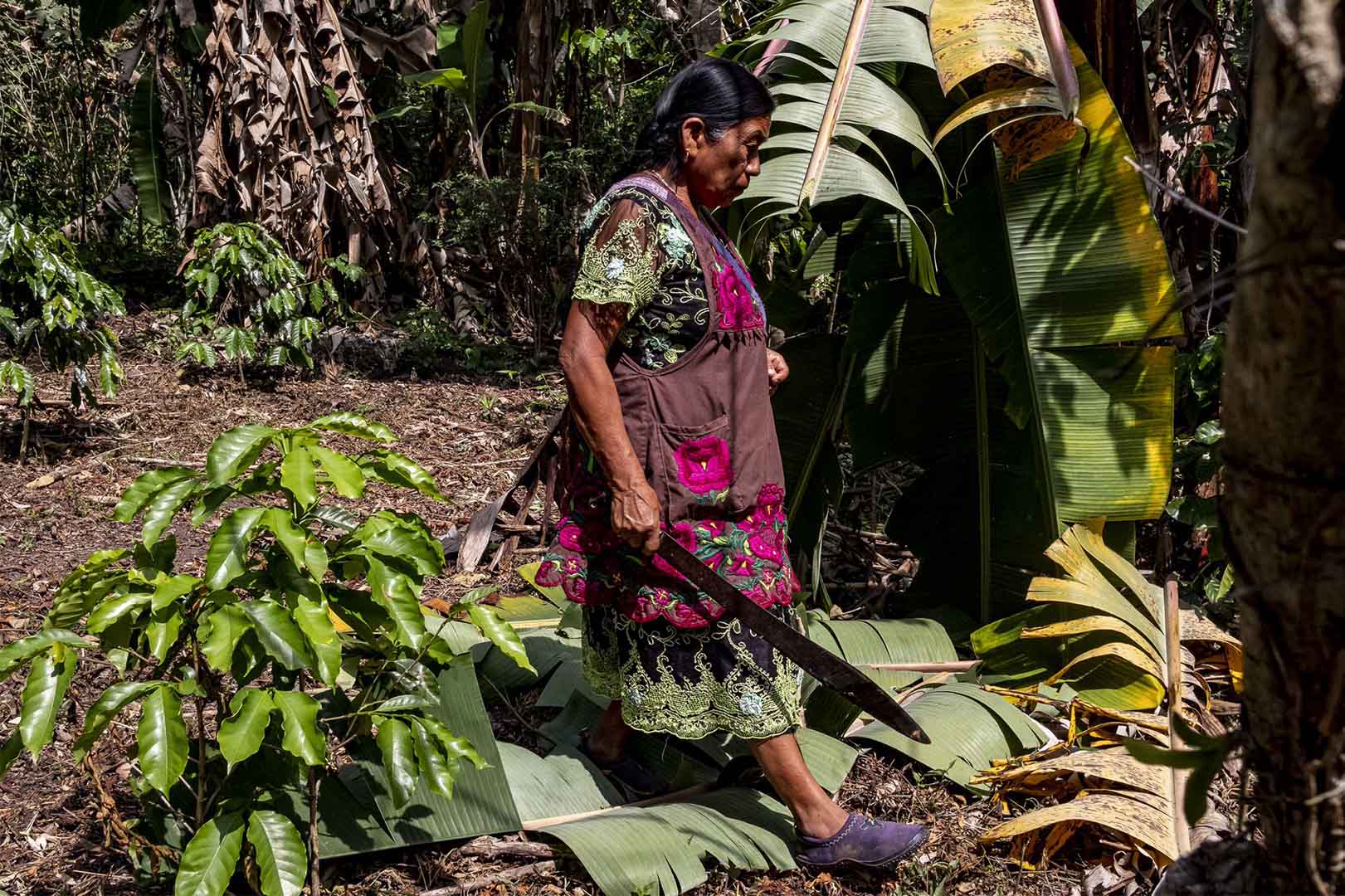 A woman walks through farming land holding a machete