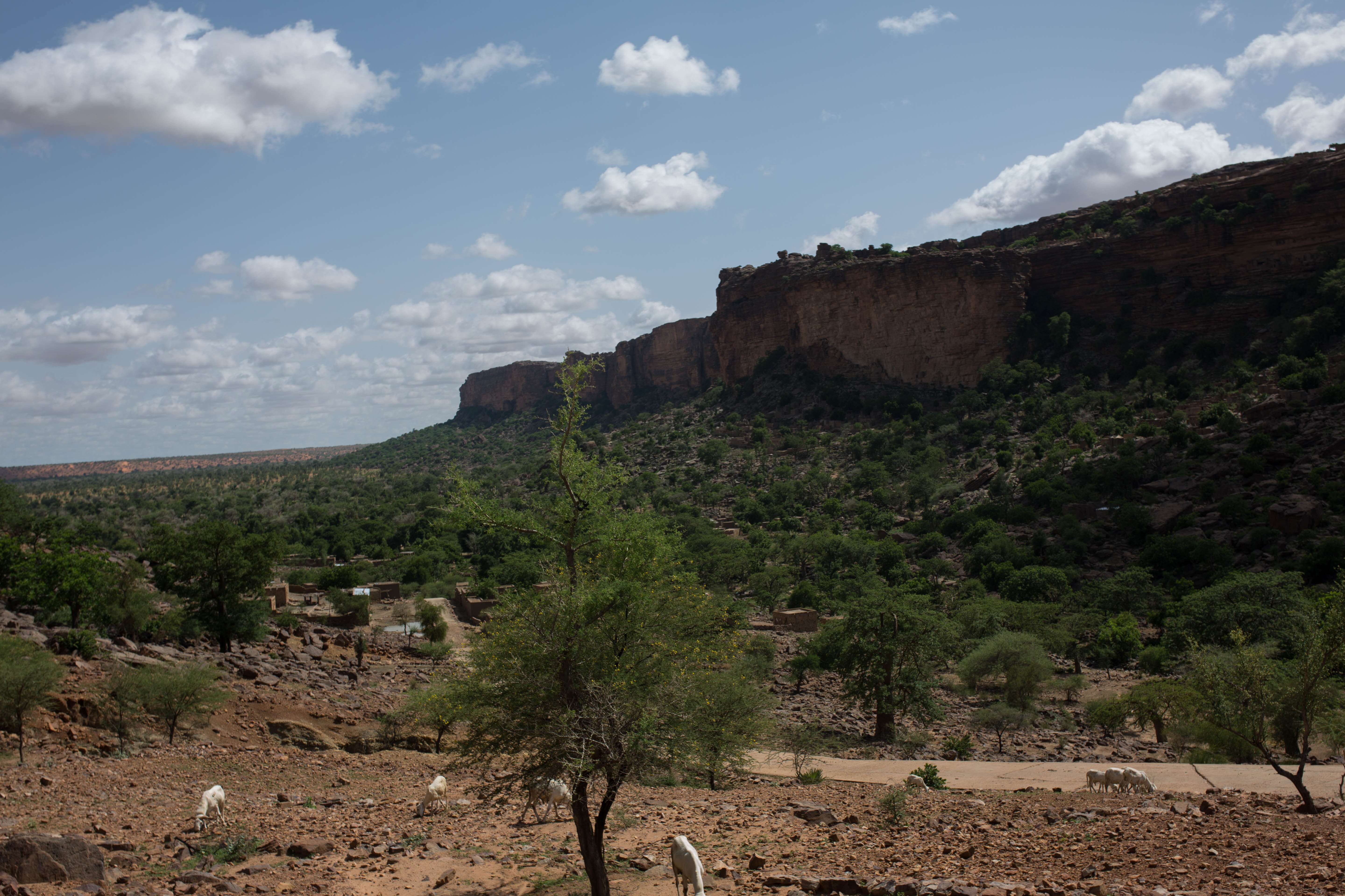 A landscape photo of The Bandiagara cliff in Mali.