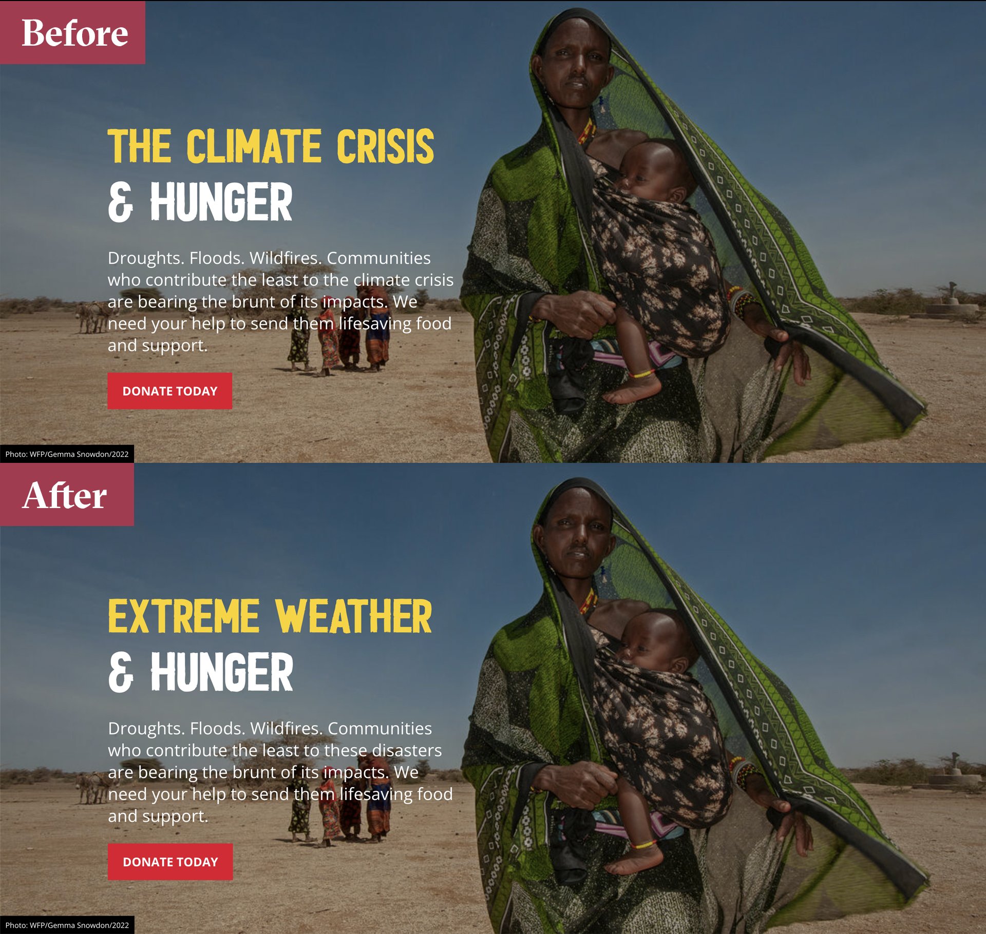 WFP-CLIMATE-SCRUB.jpg