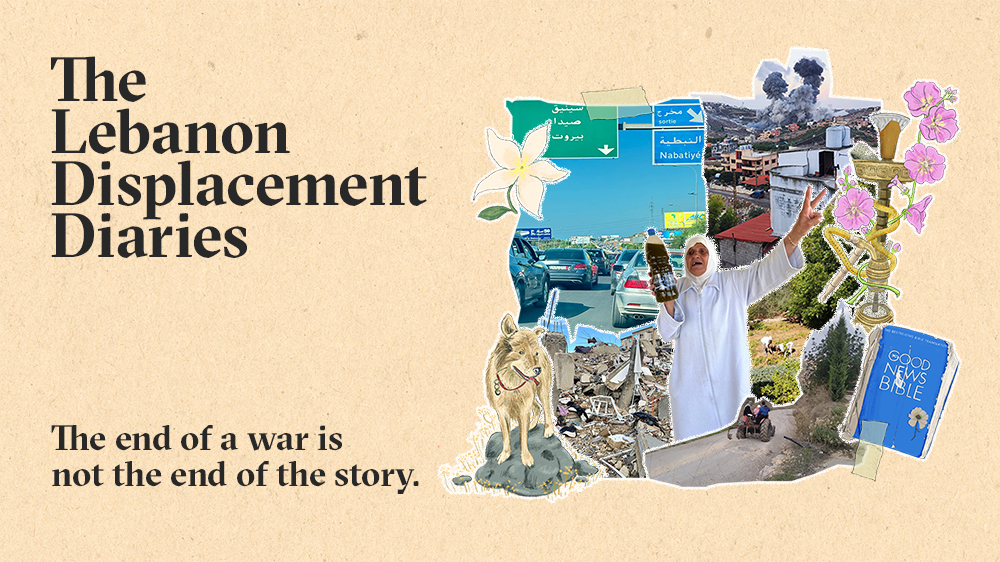 Social media card image for The Lebanon Displacemente Diaries