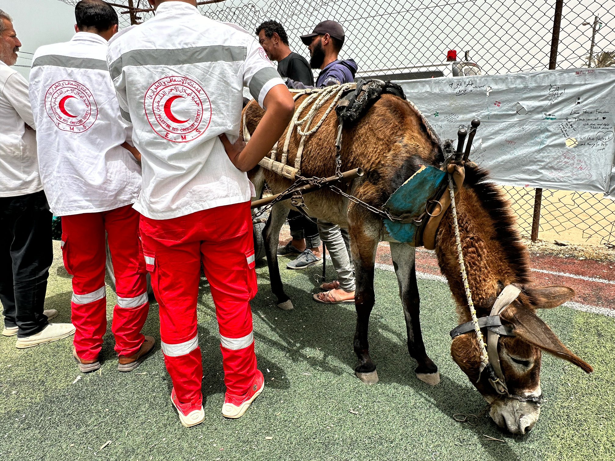 A photo of a PRCS team receiving a patient on a donkey cart at the Mawasi TSP.