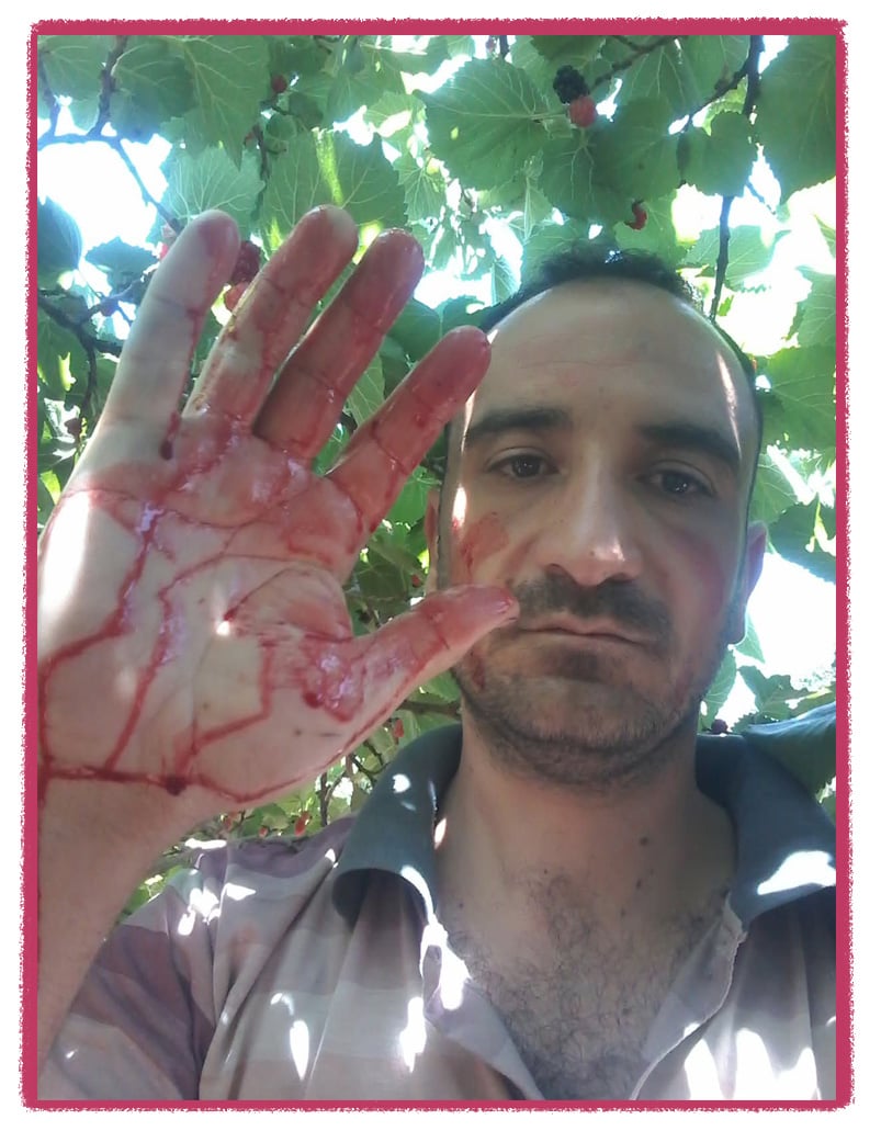 Radwan’s mulberry-stained hands on the day of his displacement, in an image shared by a family member on social media.