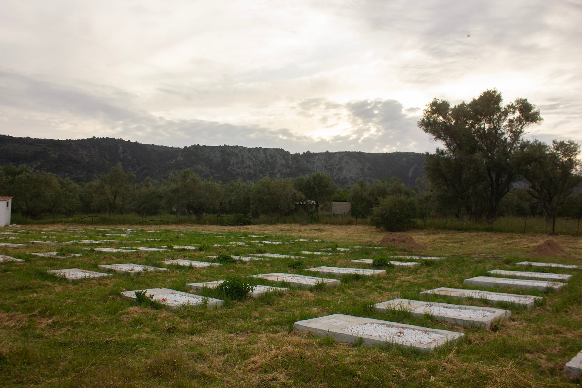 A graveyard