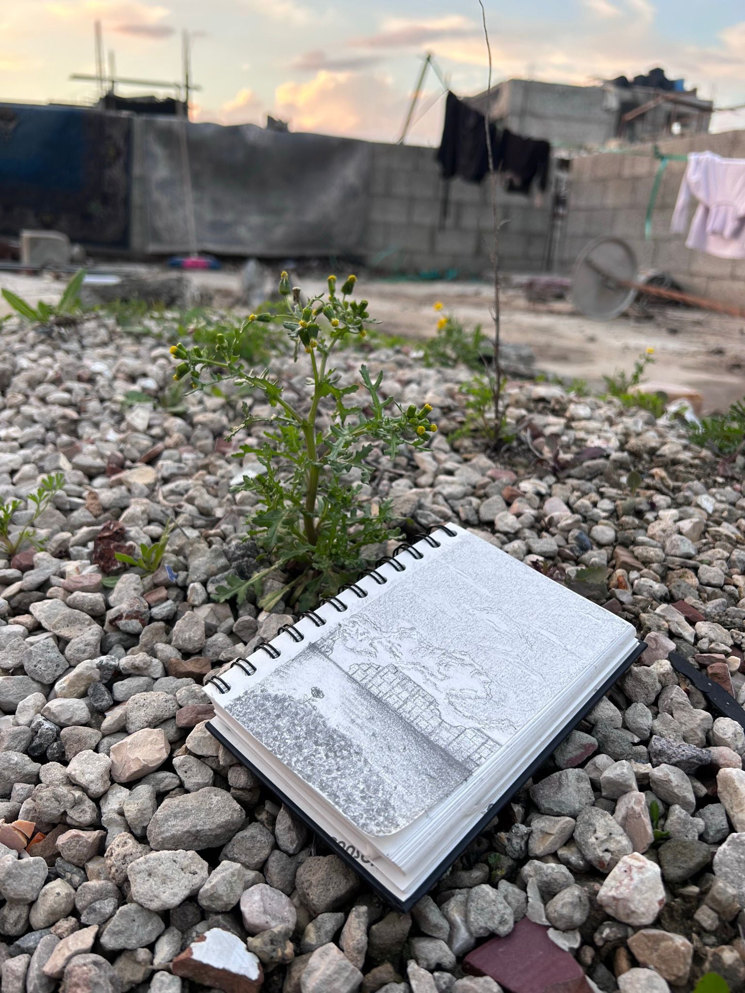 A notebook on the ground with rocks and plants growing.