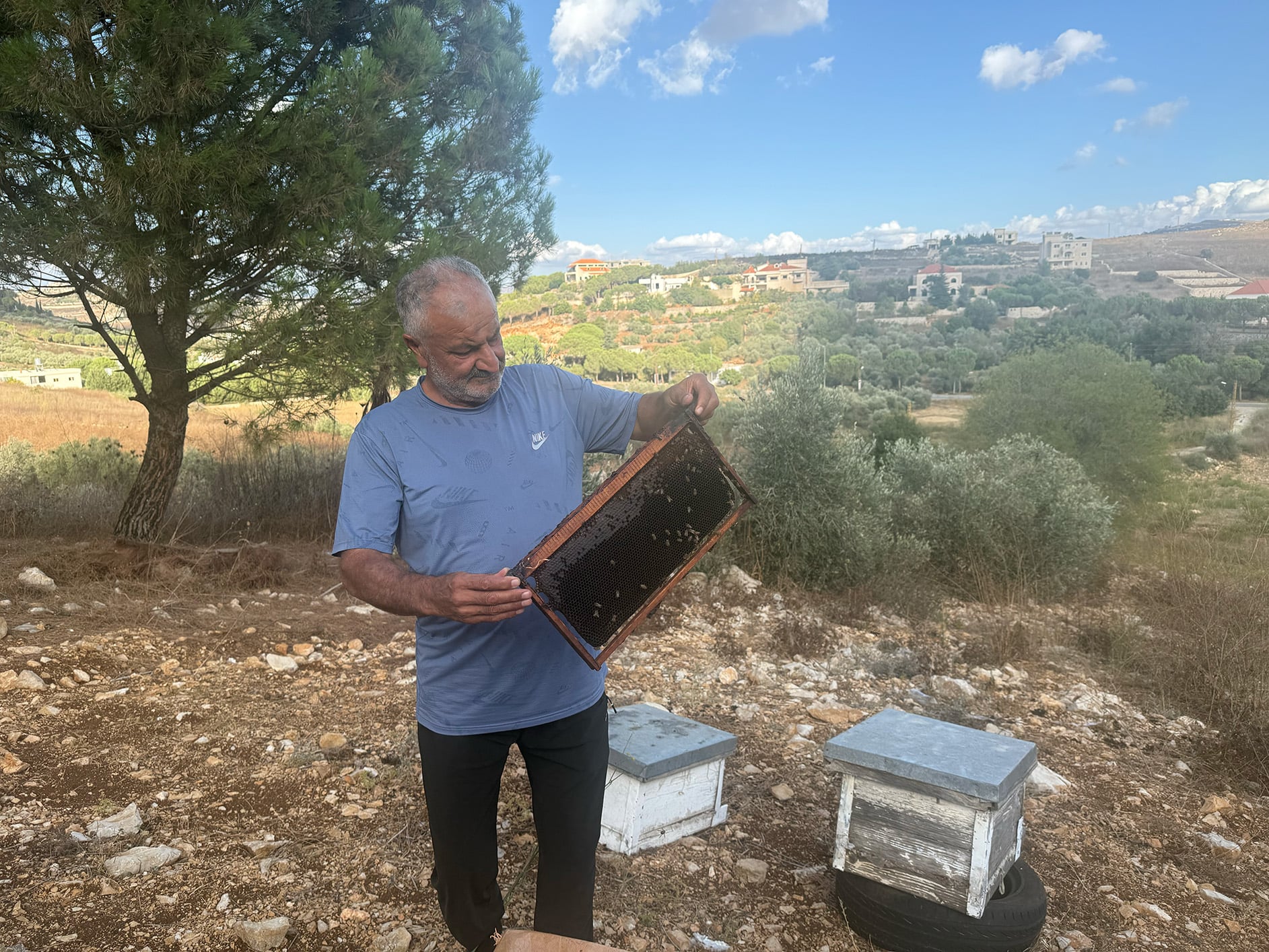A photo of Youssef Cheaito as he holds a hive from the remains of his 500 beehives, which he had to leave behind when he was first displaced. 