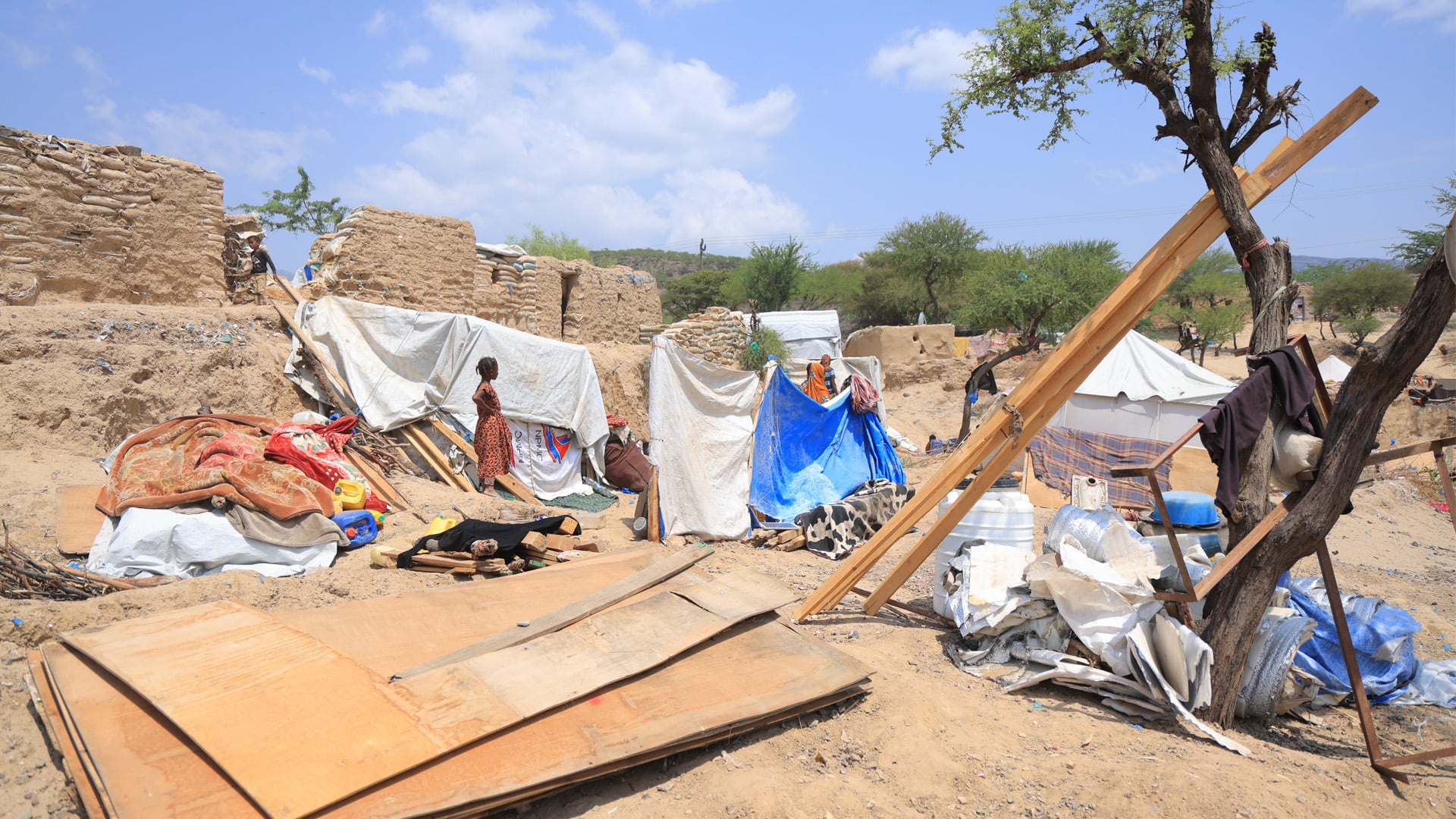 A makeshift camp site where hundreds of families have taken shelter after fleeing fresh violence in Taiz in September 2026. 