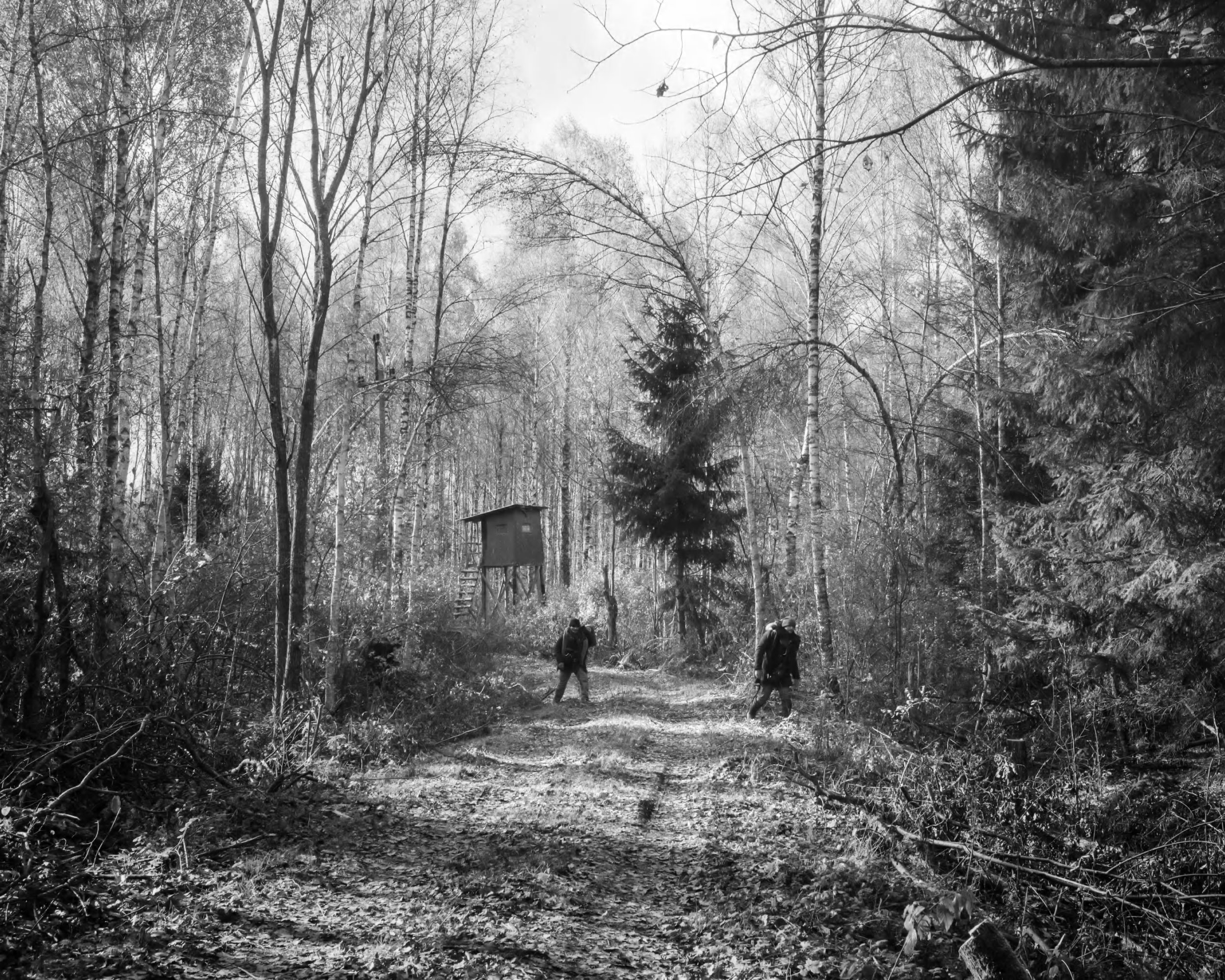 A group of refugees from Yemen hiding in the forest near Szymki village Poland.