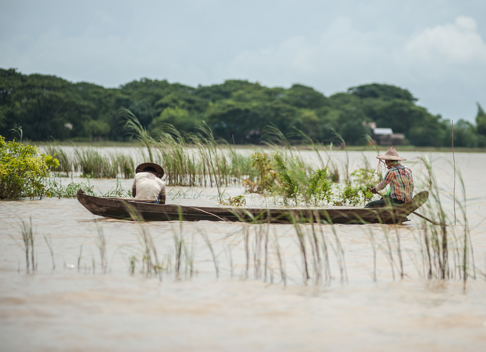 Two men paddle a canoe through a flooded rice paddy.