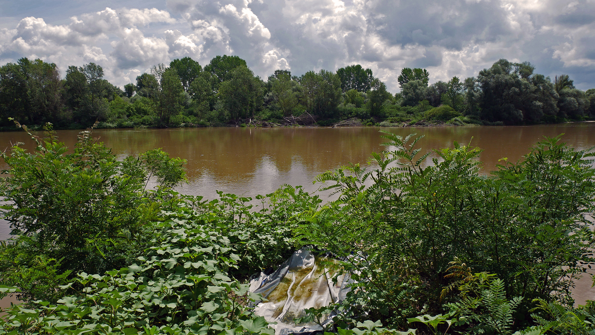 Greenery alongside a brown river with a deflated boat in the foreground.