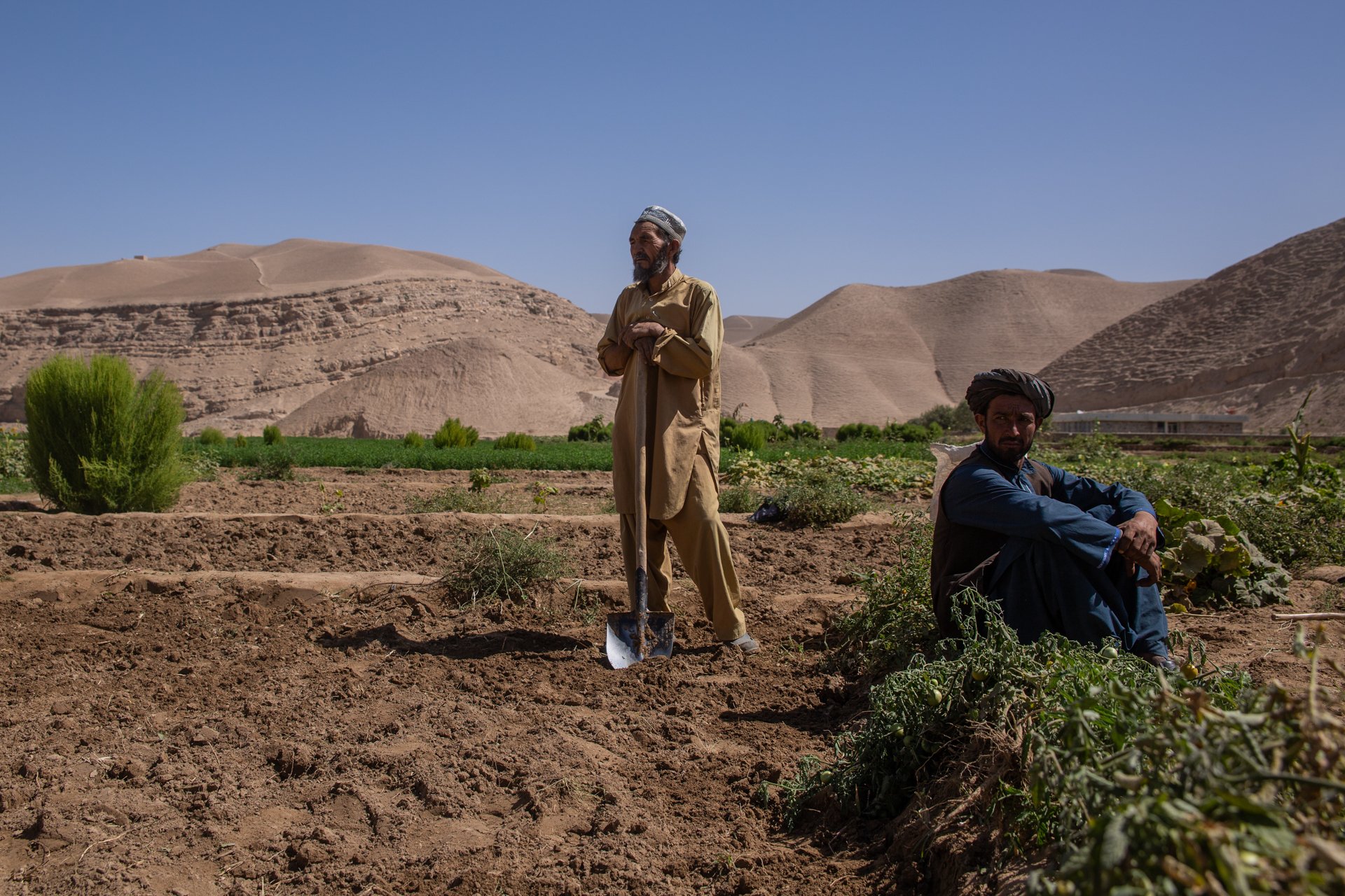 Two men in Afghanistan in a farm field.