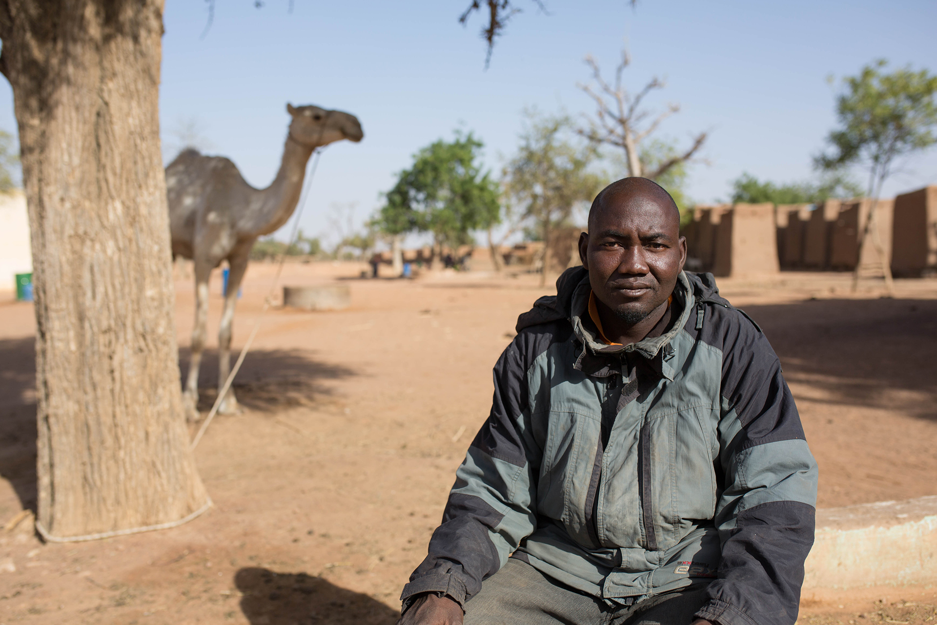 A man sits for the camera, a camel is tied to a tree in the background