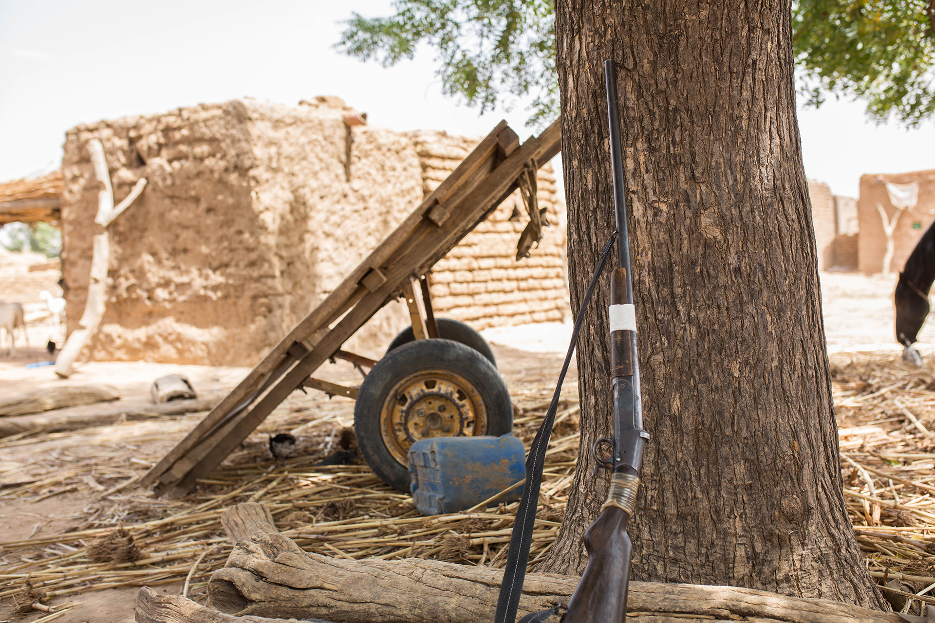 An old rifle leans against a tree