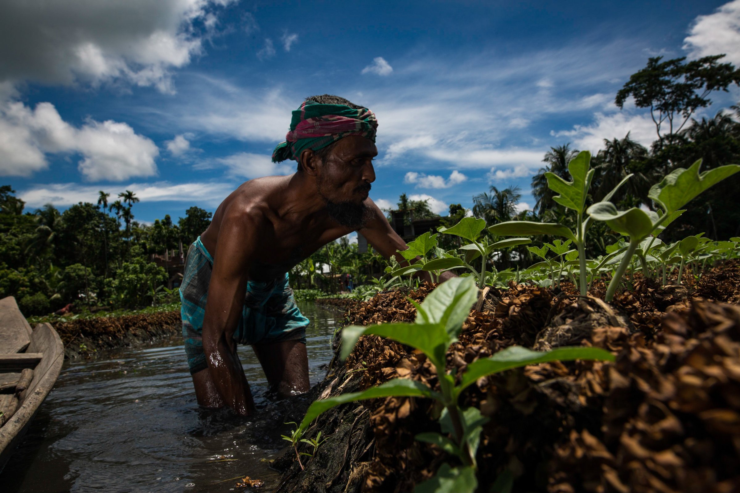 Photo of a farmer in Bangladesh in knee-deep water