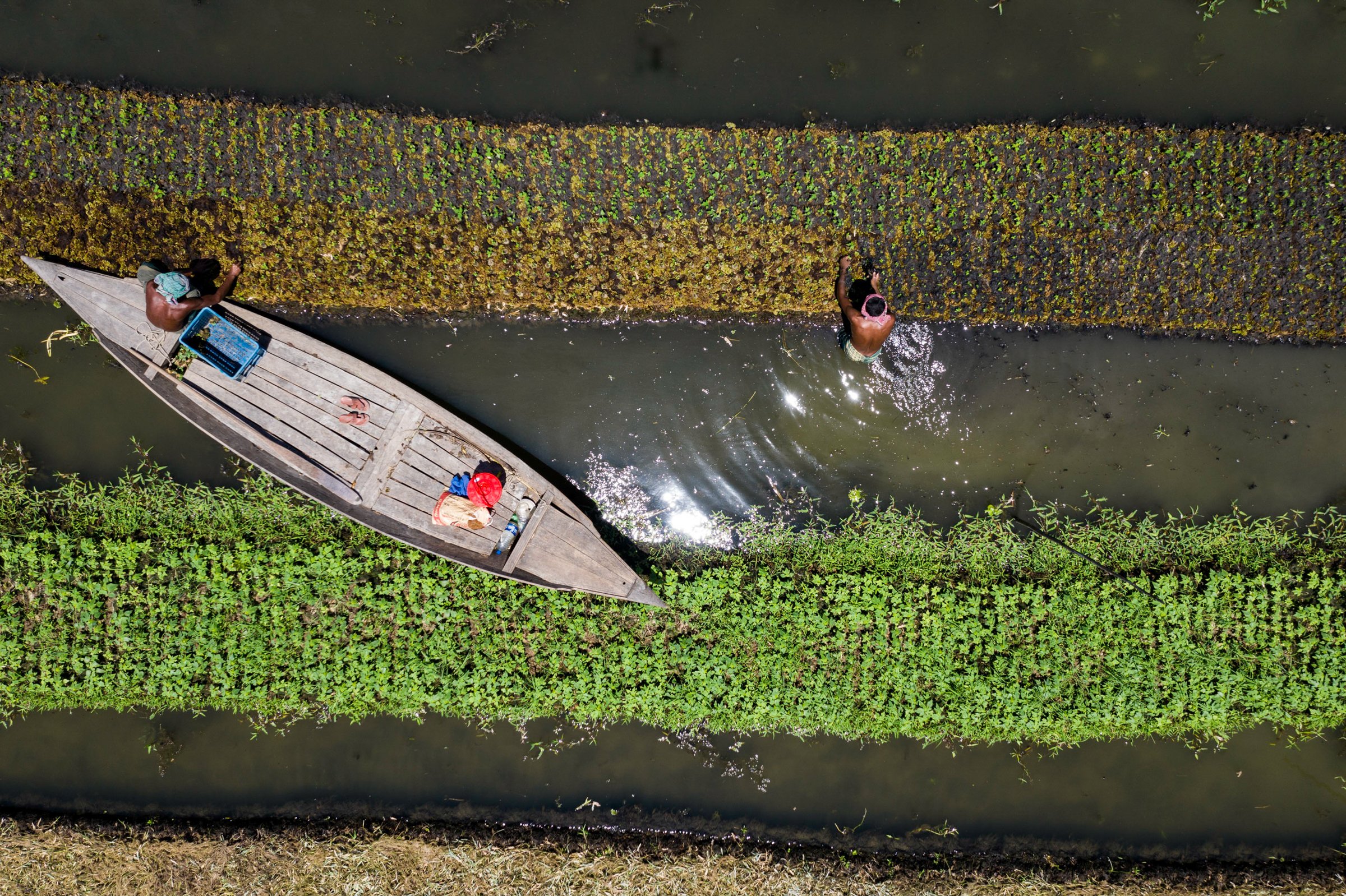 Aerial photo of farmers on boats in Bangladesh