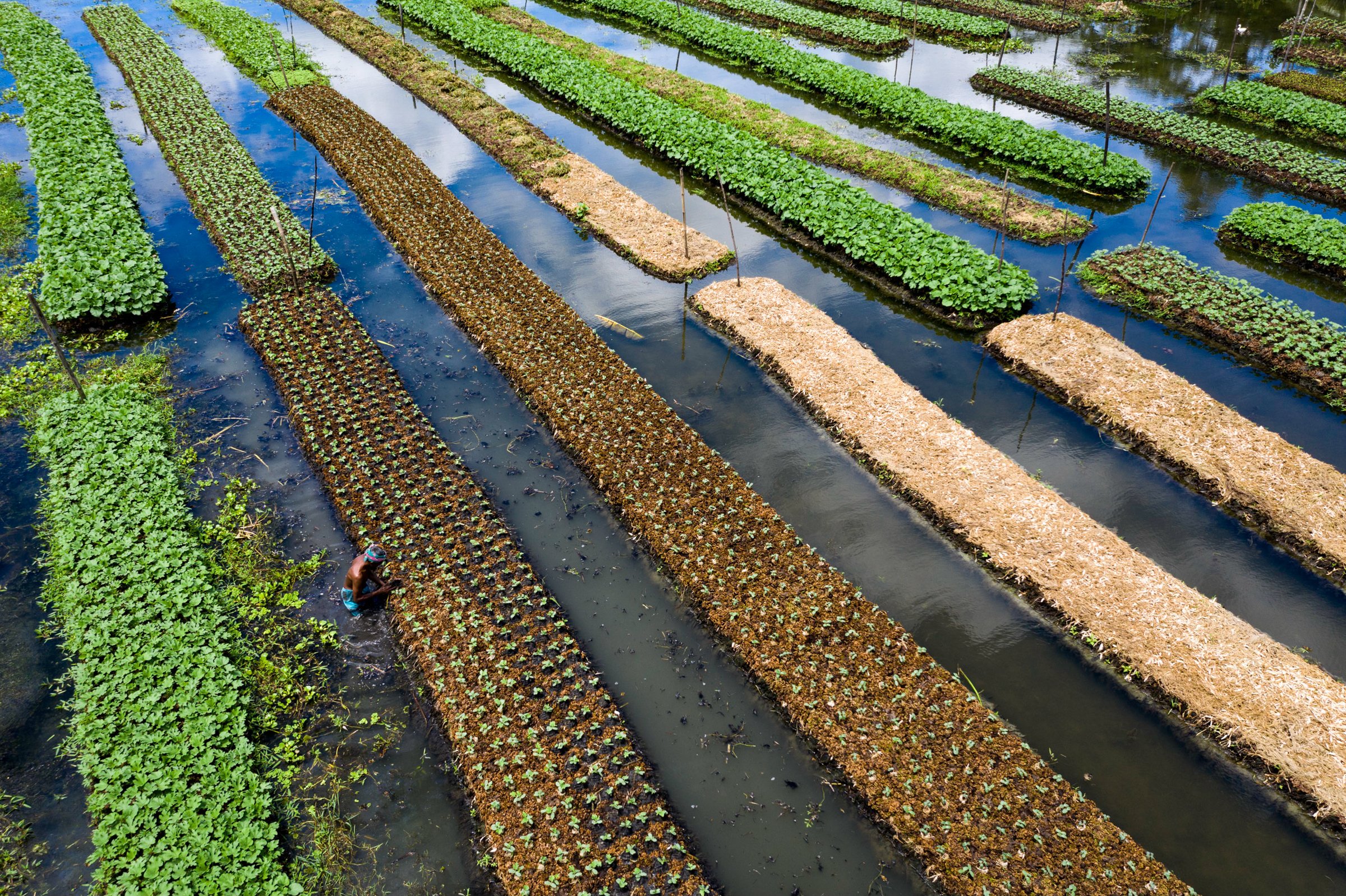 Photo of floating farms in Bangladesh