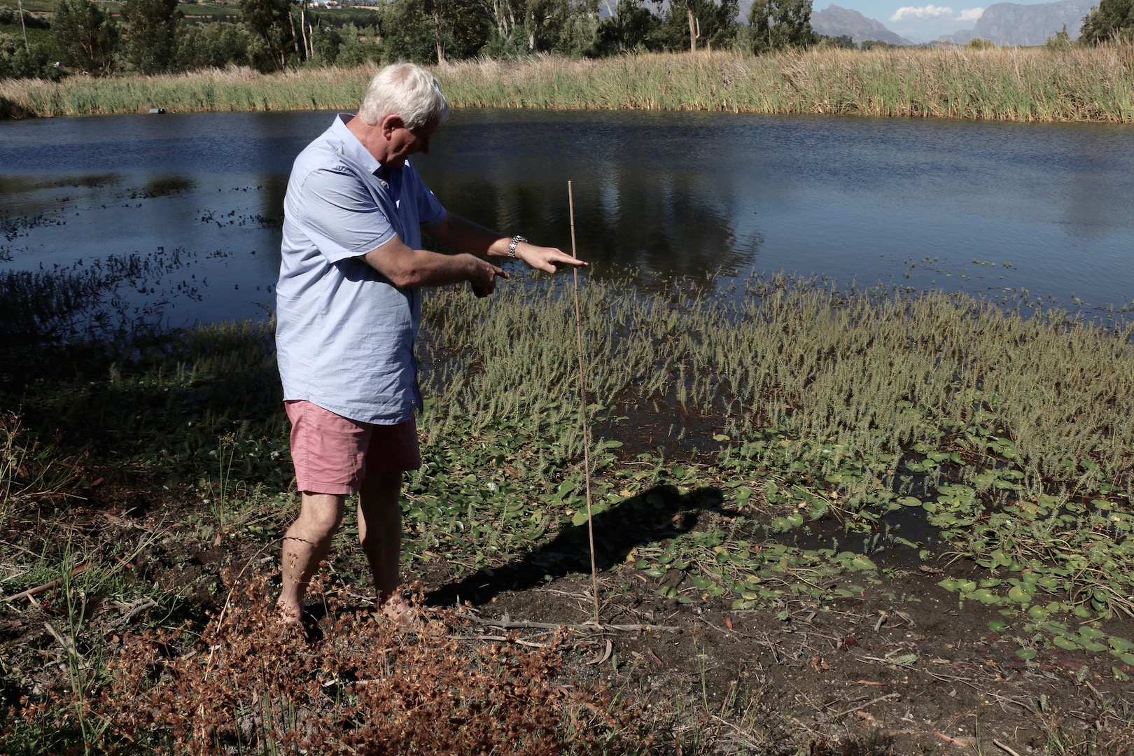 Chris Harvey says the river came up to the top of the stick only 10 months ago