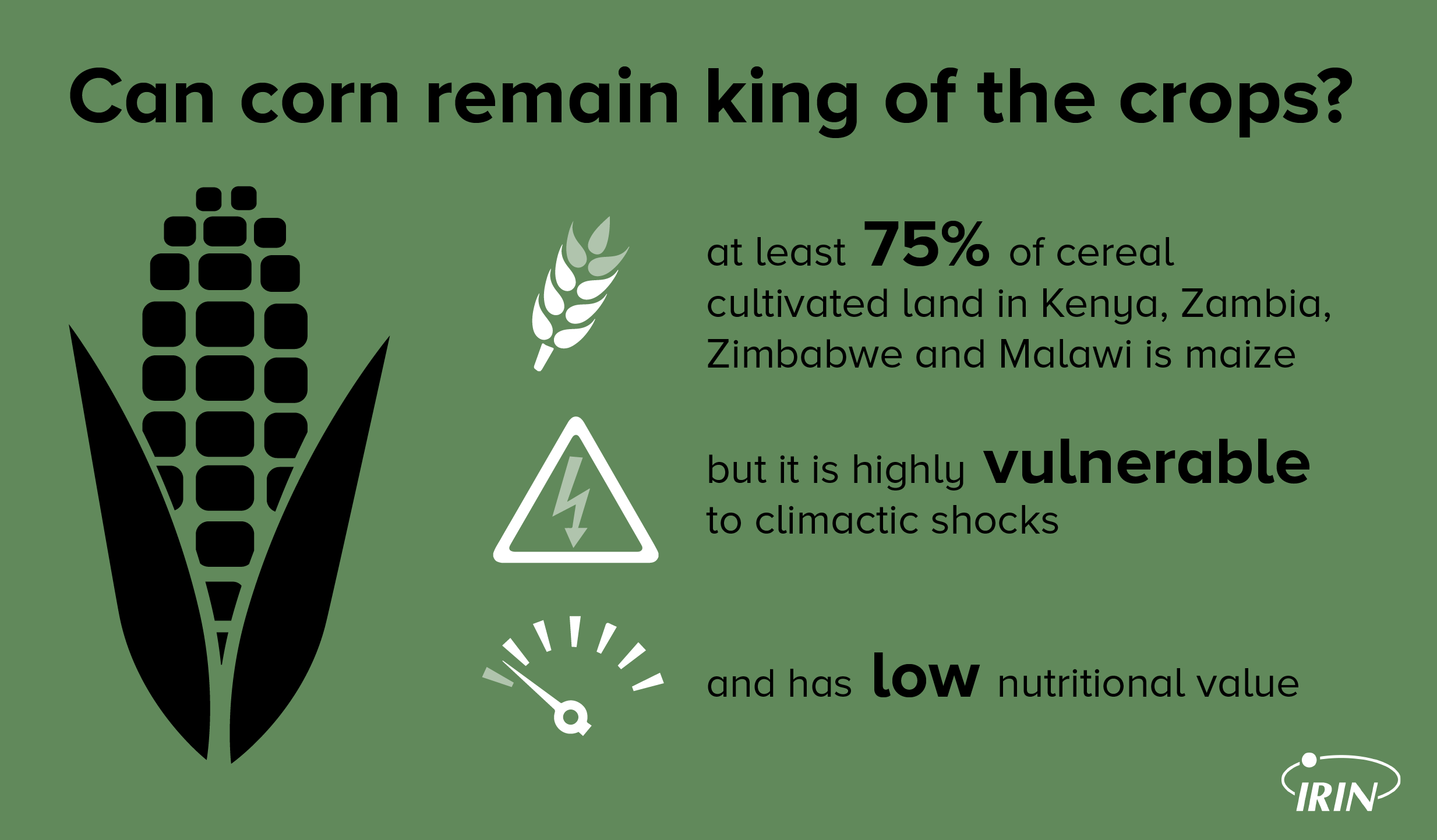 Corn graphic