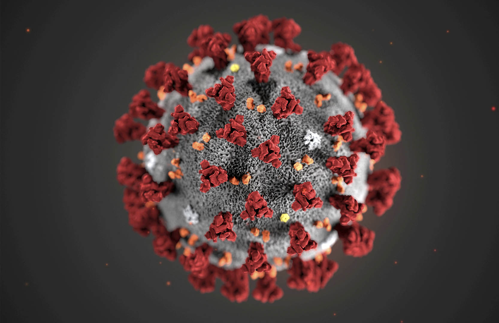 Illustration of ultrastructural morphology of coronavirus.