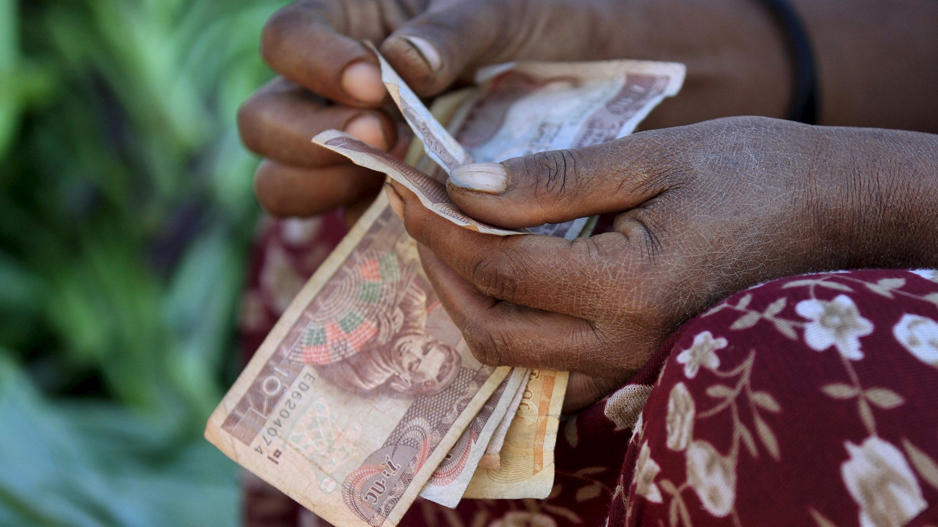 A woman counts Ethiopian birr notes