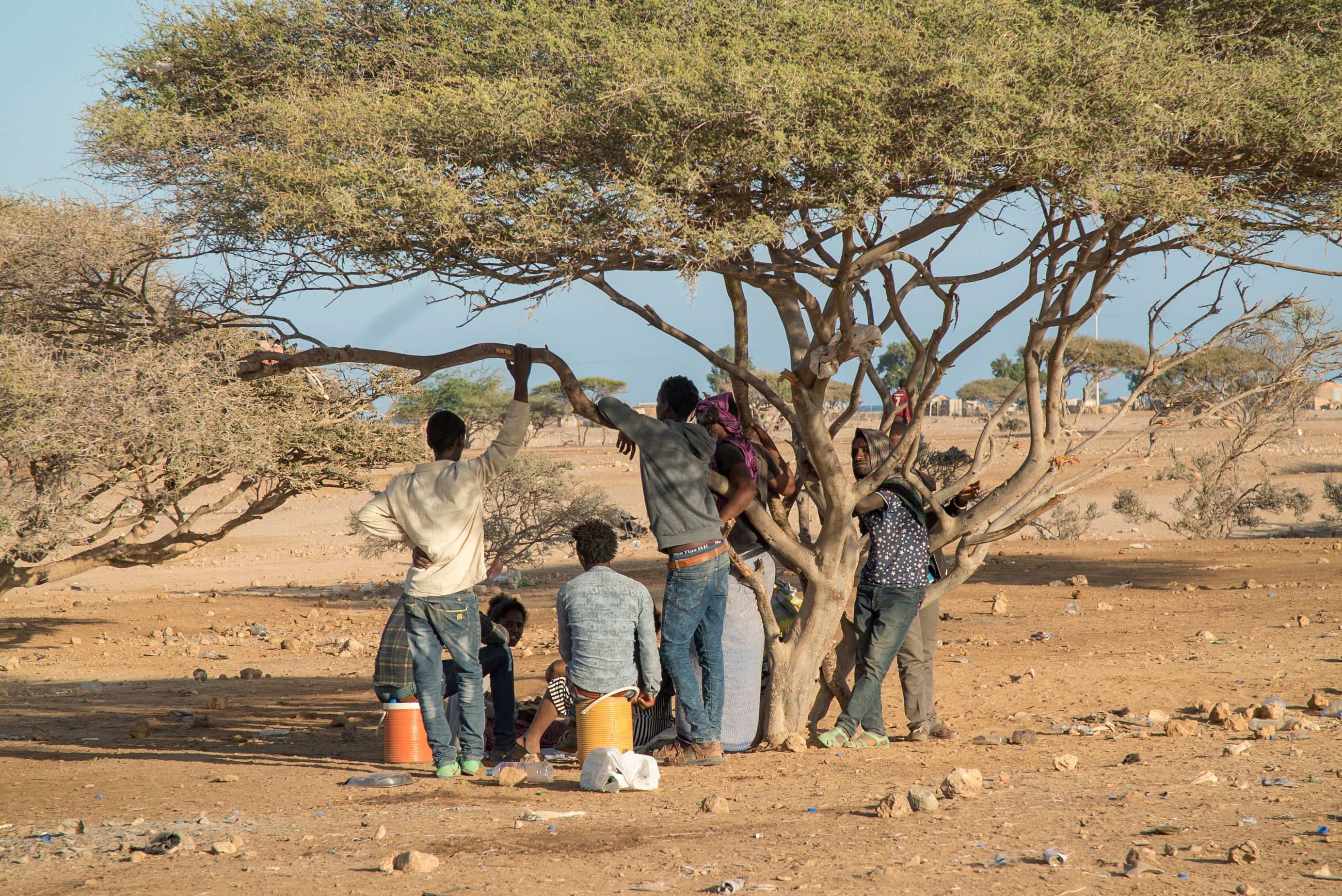 A group of men stand, facing away, in the shade of a tree in an arid landscape outside a settlement