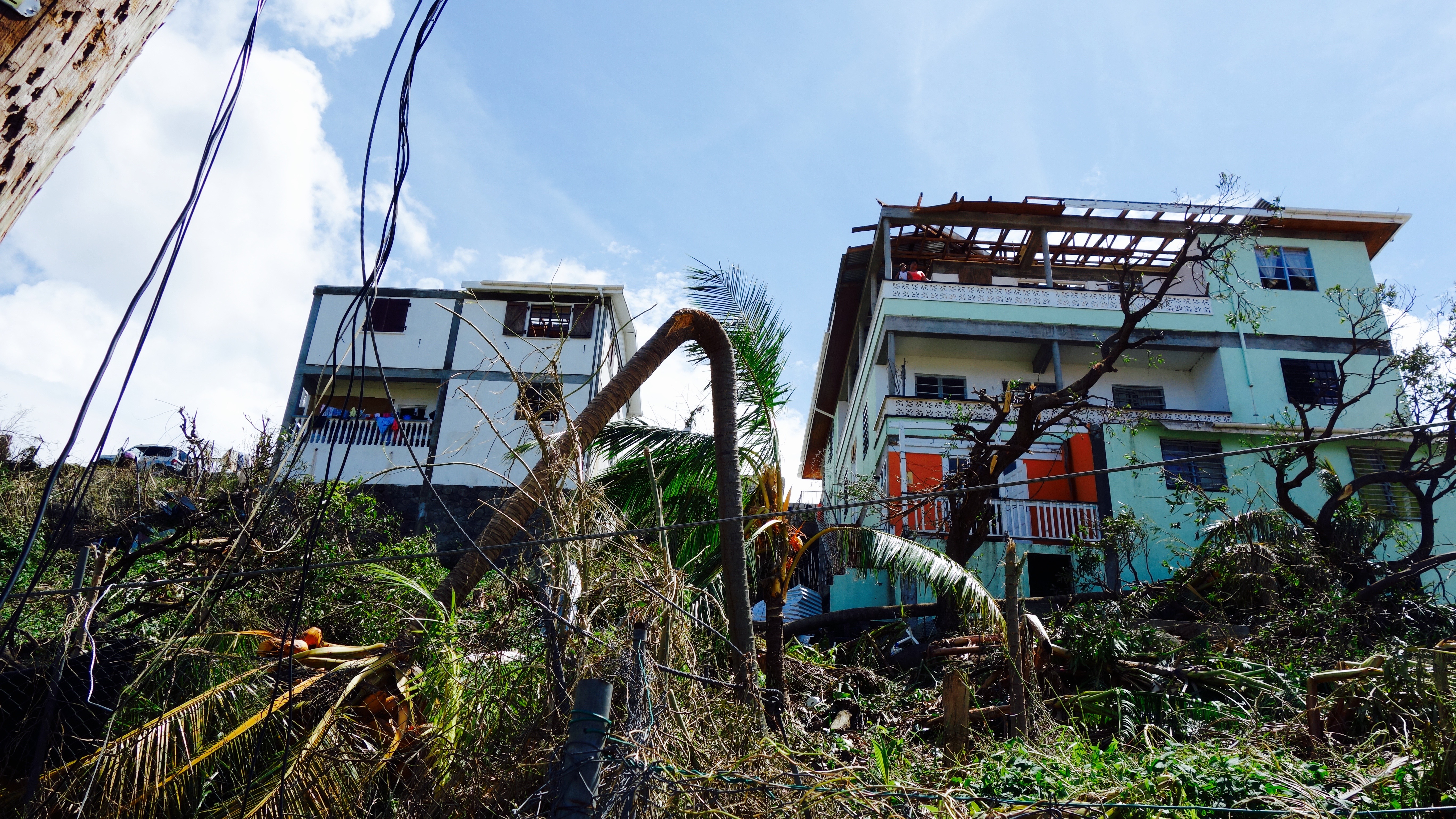 Damaged house and trees in Dominica after Hurricane Irma, Jose, and Maria.