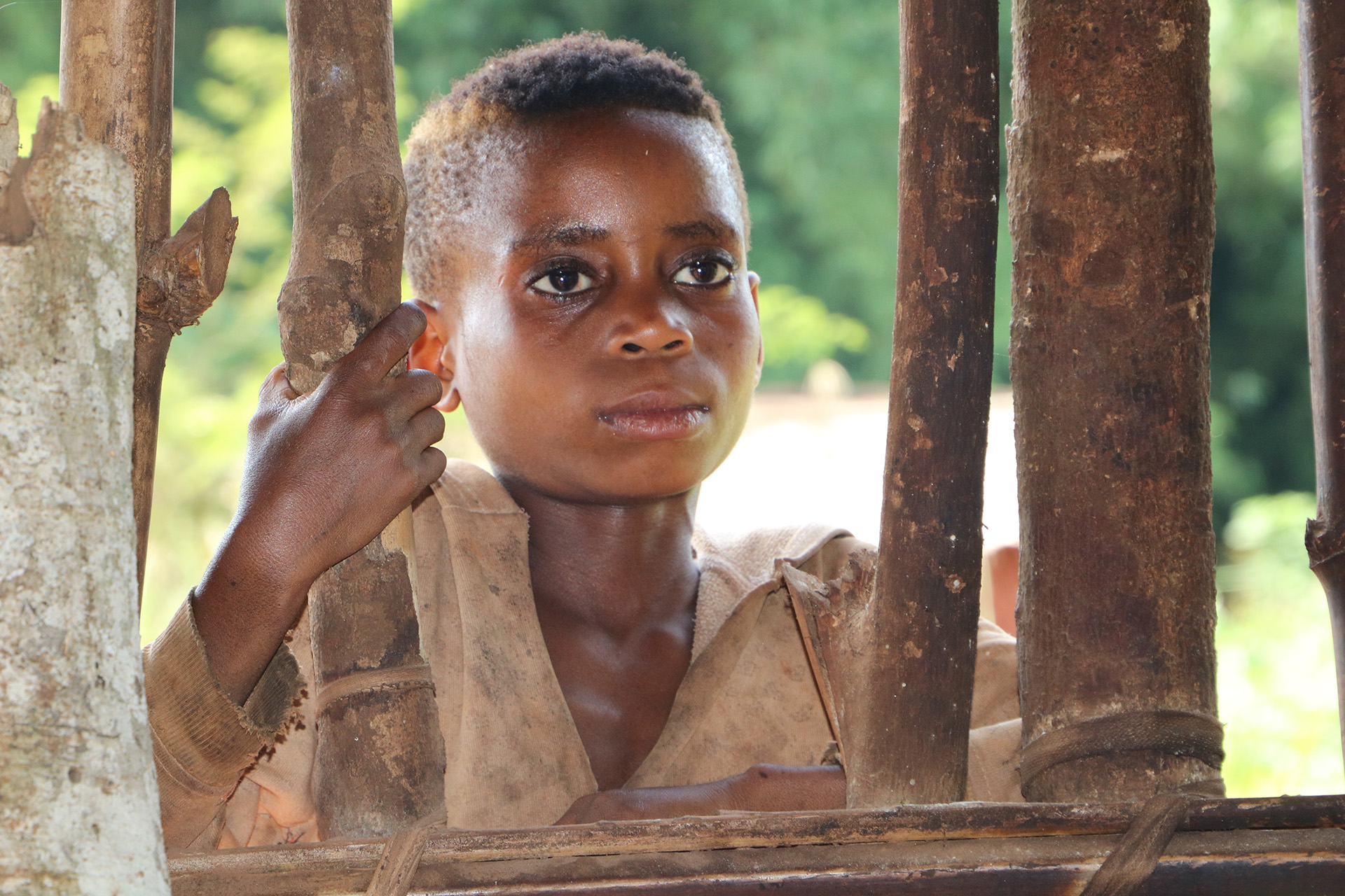 A young boy peers through wooden slats, listening to a meeting between traditional healers and aid workers outside of Biakato town in the Ituri province. 