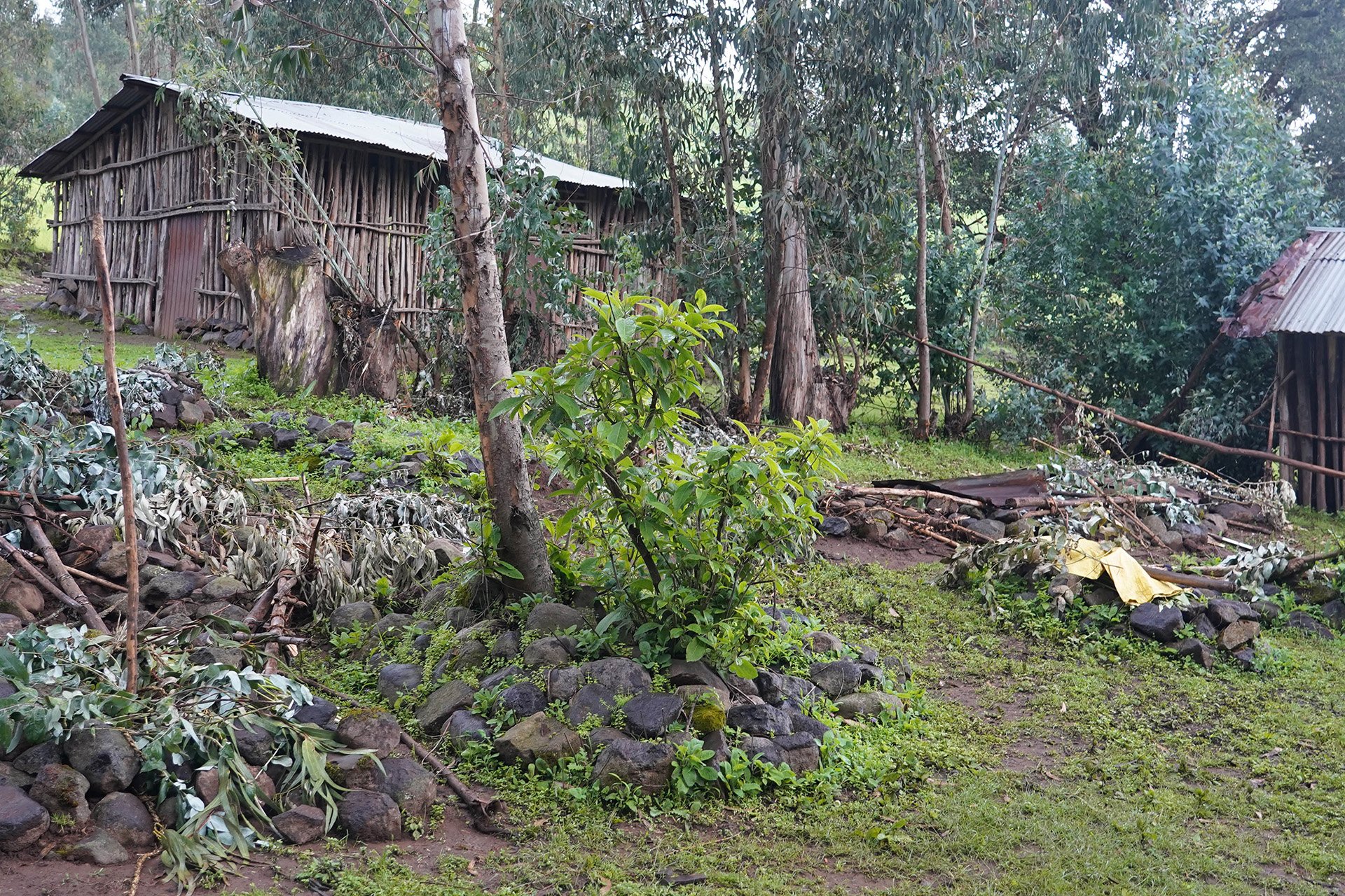 An image of two small dwellings on a lush green hillside.