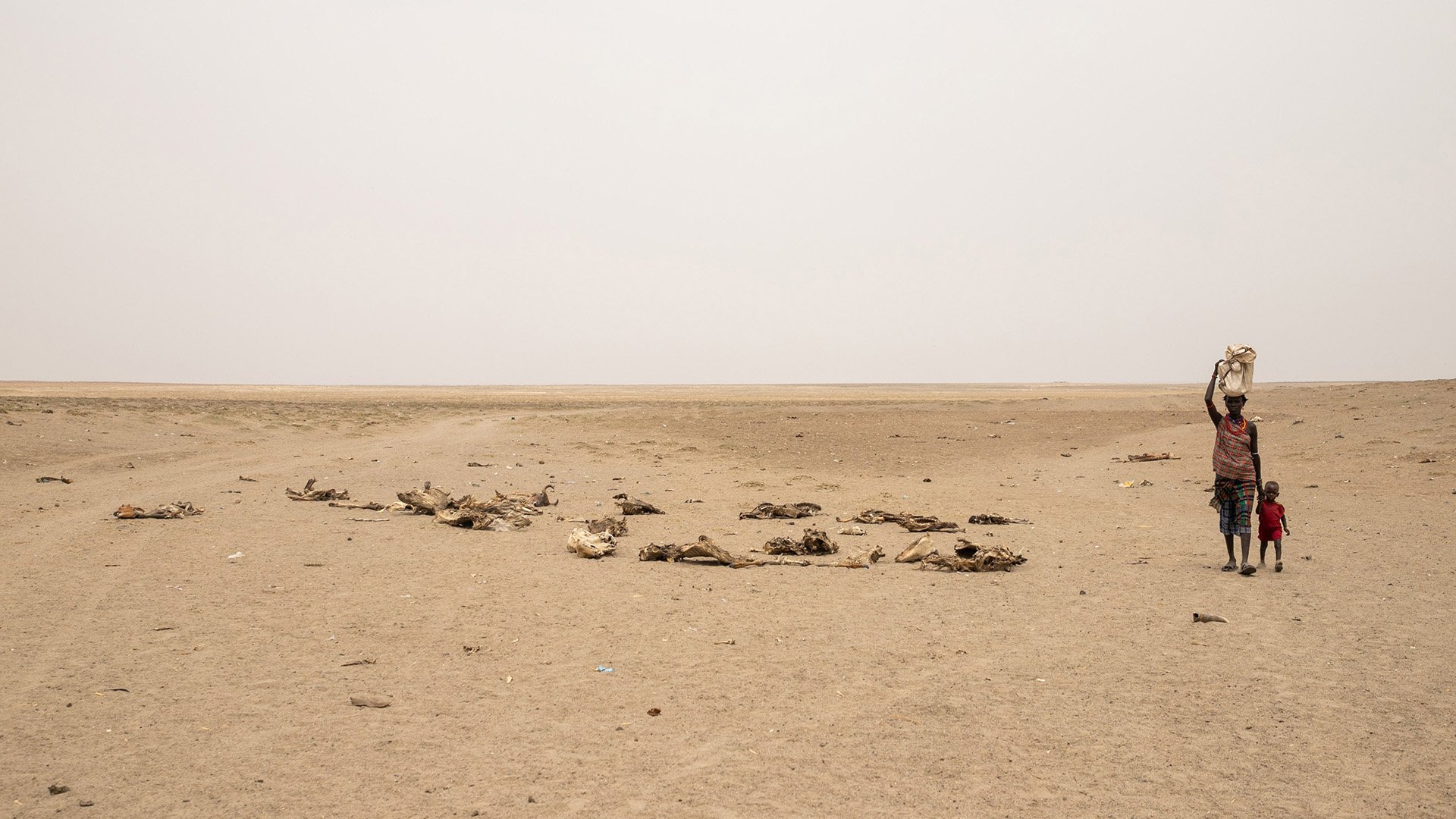 Drought has killed 3.5 million animals in Ethiopia’s southern lowlands since late 2021.