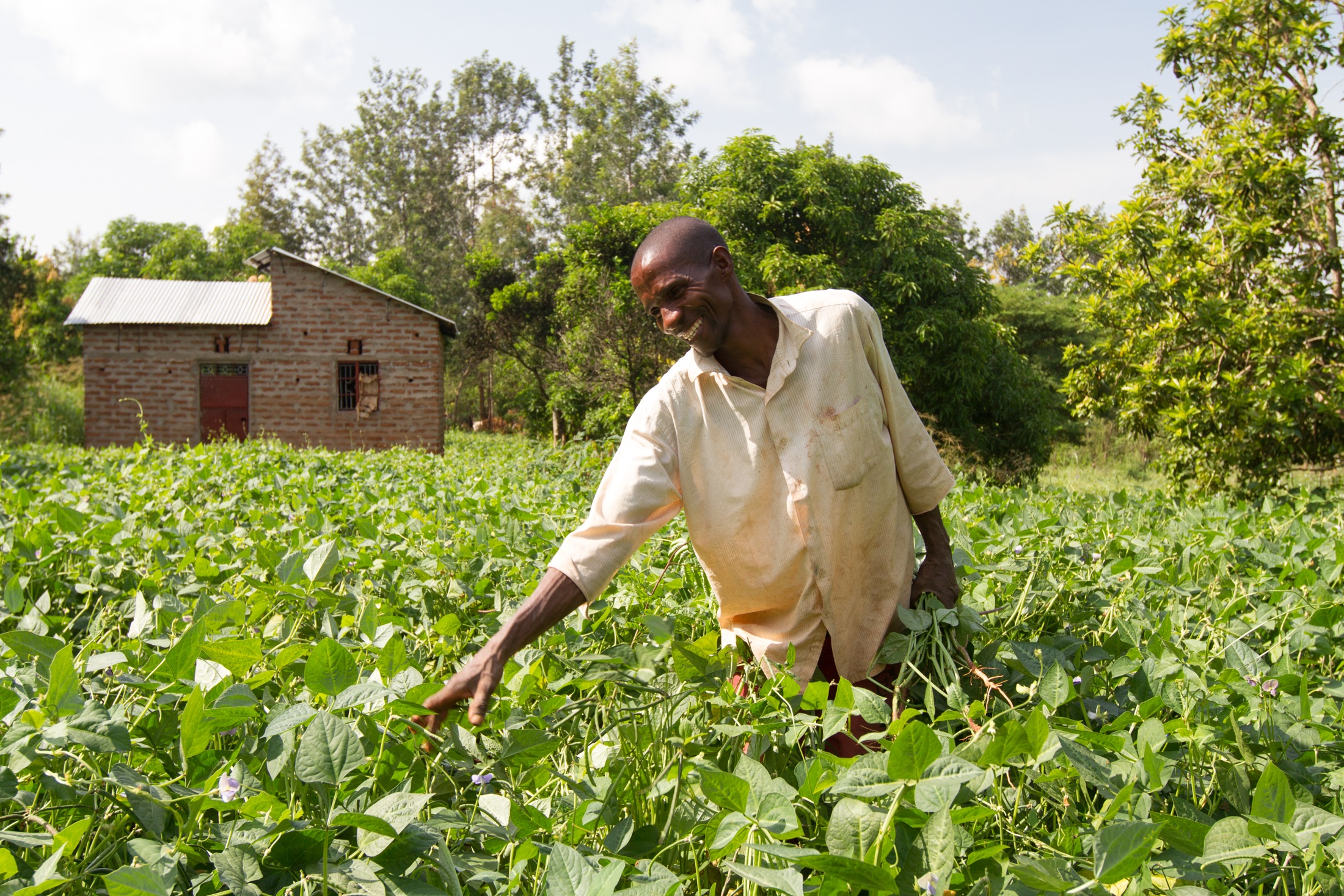 Farmer in his field