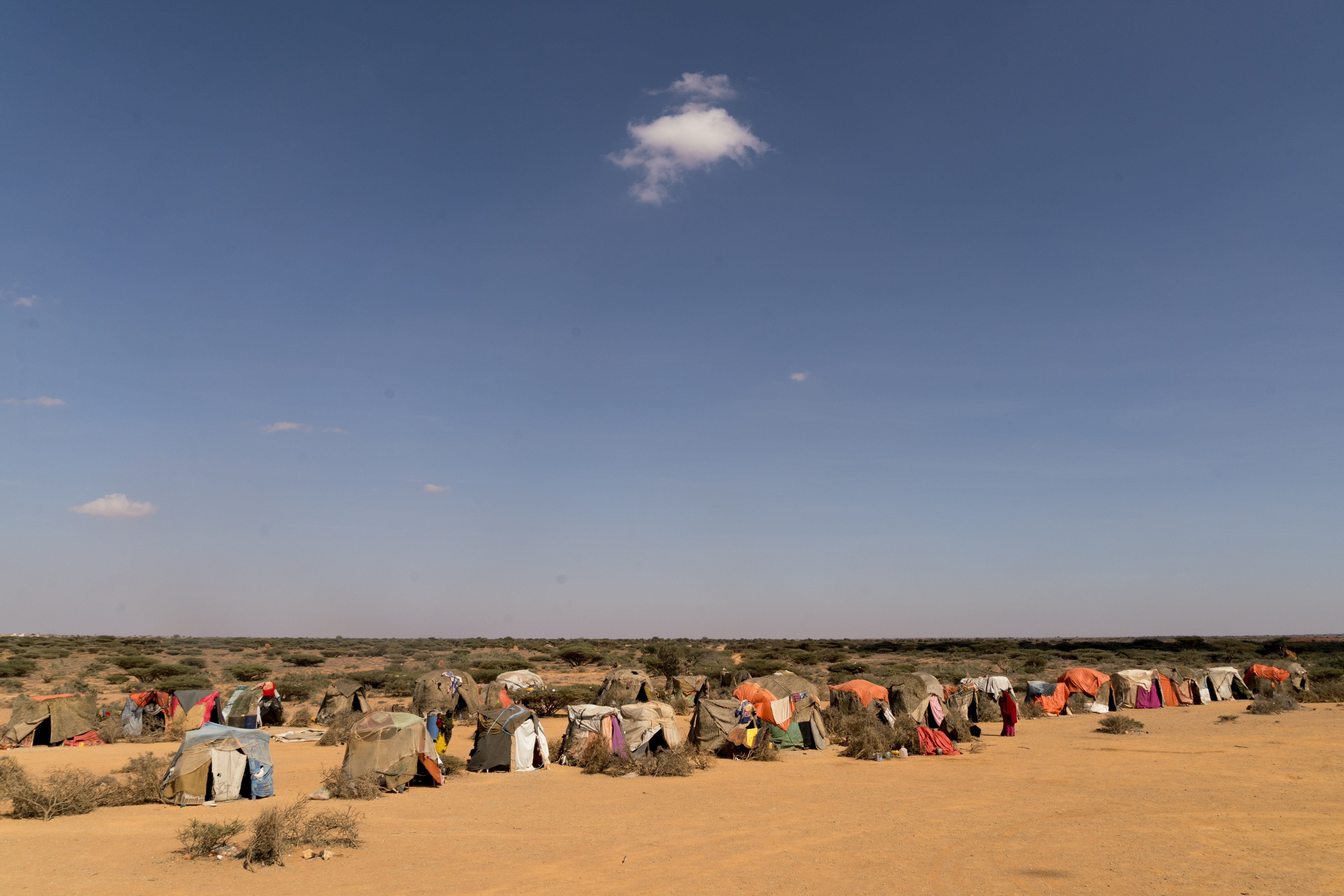 IDP camp Puntland