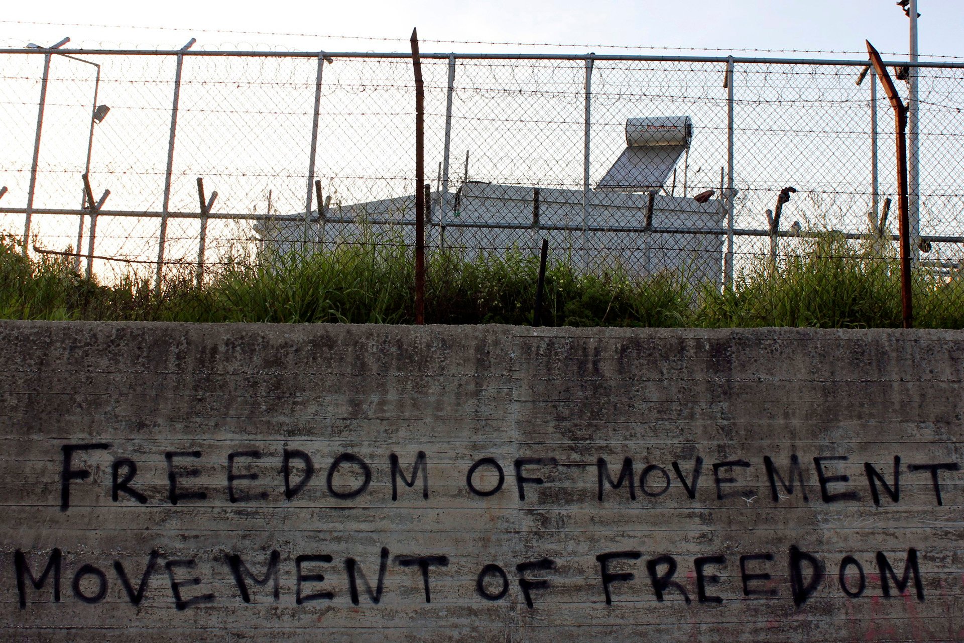 "Freedom of movement" is written in graffiti along a wall with barbed wire fence at its top. 