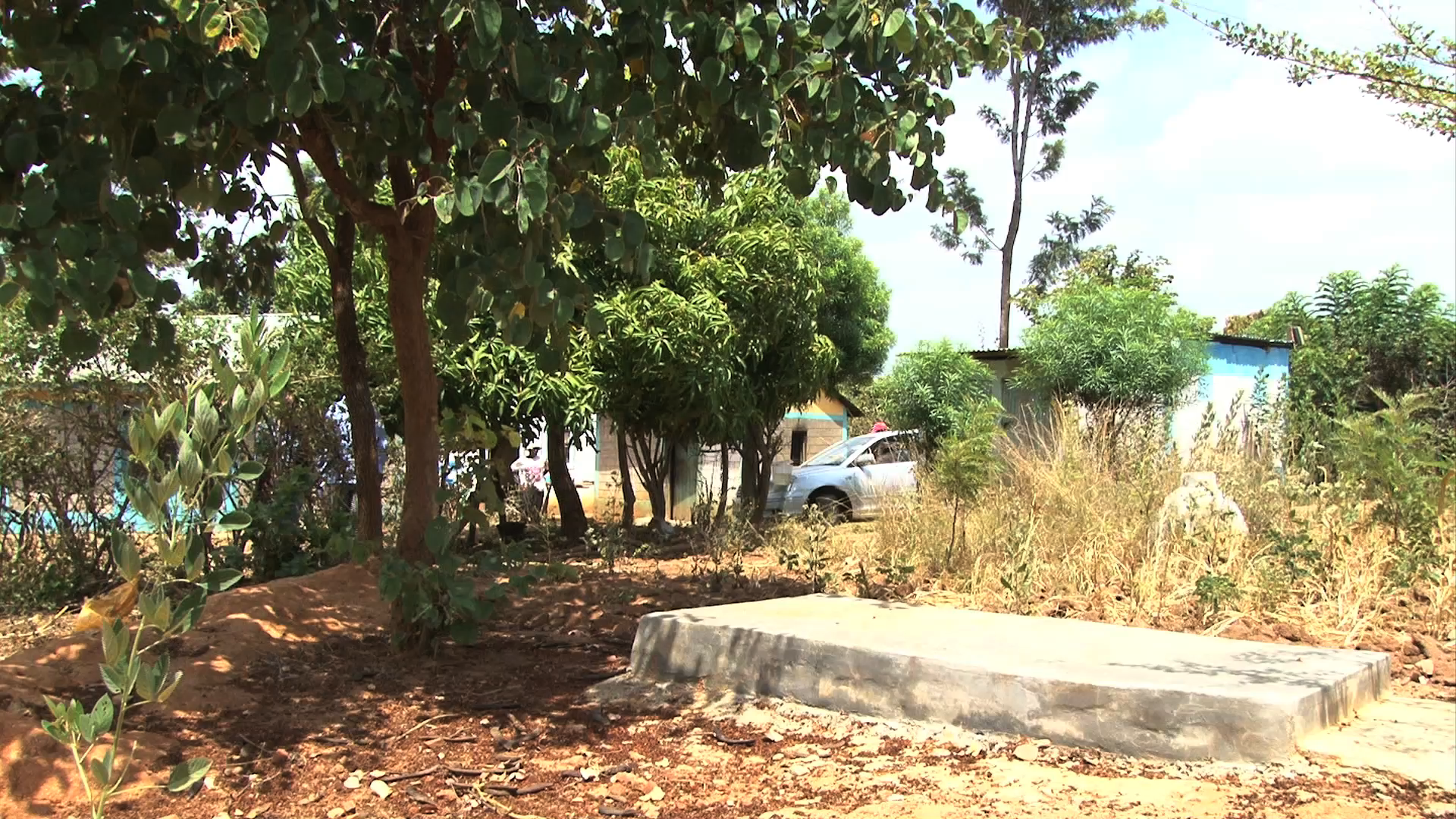 Grave of Grave