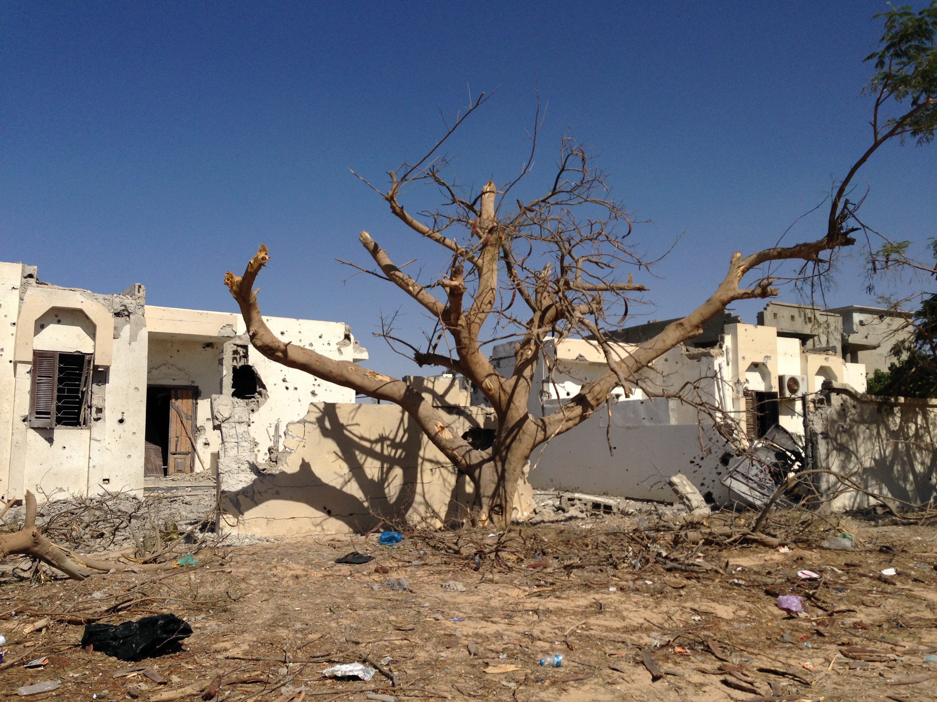 Ruined homes behind a tree