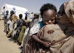 [Chad] Refugees Camp, Tiné, 24 Sept 03.
The MSF health unit in the refugee camp of Tiné Chad has opened. Dozens of refugees push/urge to be registered. Some of them try to enter the tents uncontrolled. But who can blame them? Many are sick and need urg