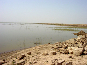 [Iraq] Water is returning to some of the former marshes.