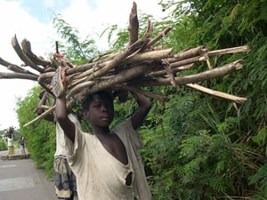 [Cote d'Ivoire] Many people in Cote d'Ivoire have been forced to switch to firewood from more expensive gas in order to cook their food. But this is adding to the deforestation problem.