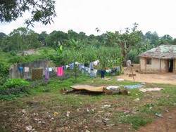 [Liberia] There are no counselling or treatment services for residents living with HIV/AIDS in Zwedru, which lies in the heavily-forested north-east of Liberia. Here the priority is getting basic health care up and running again.
