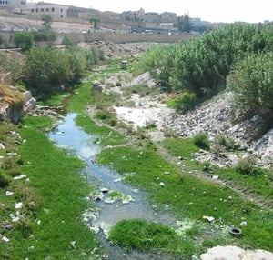 [Jordan] Thousands of acres of agricultural land are fed by Zarqa River's polluted waters. [Date picture taken: 06/06/2006]