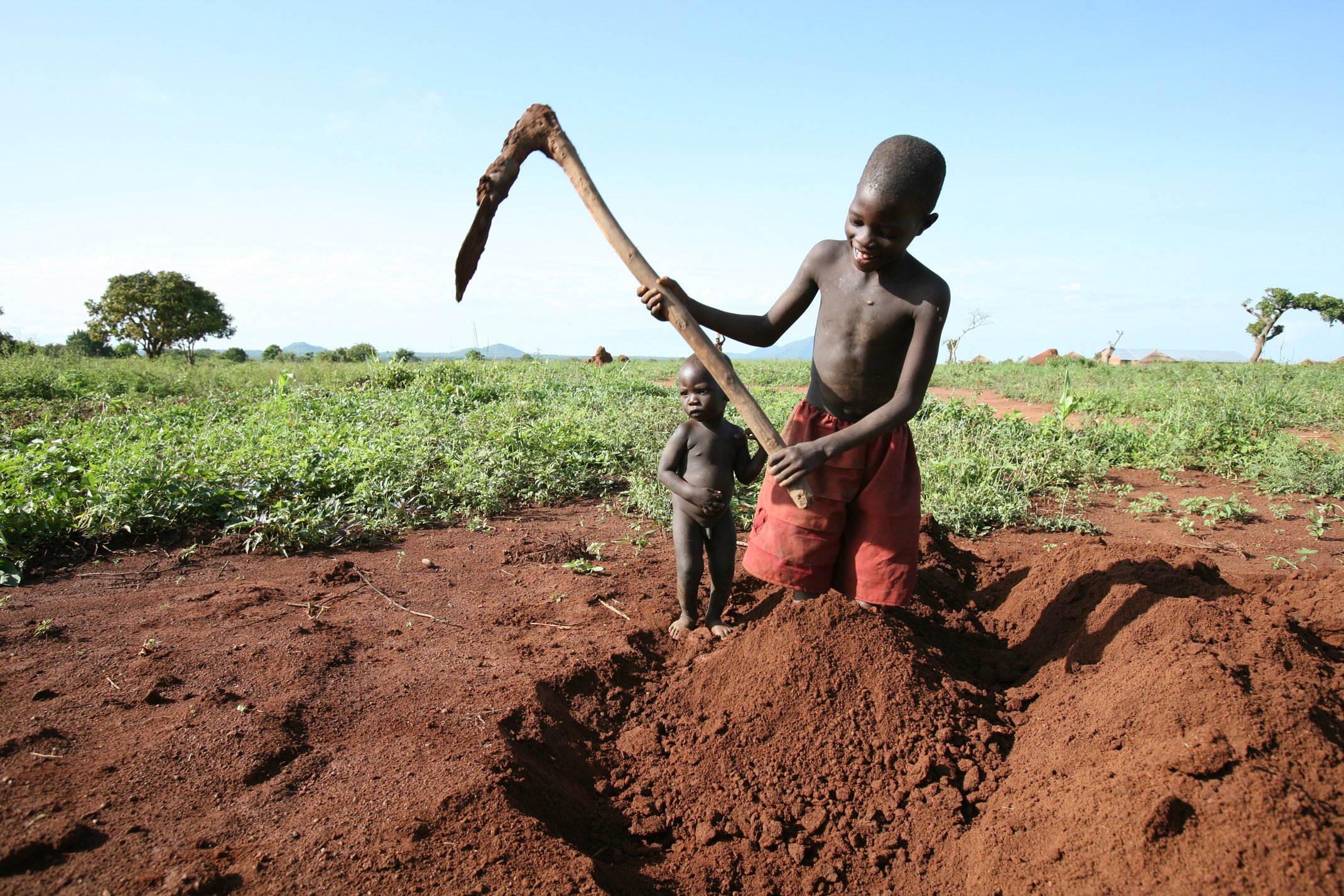 young boy helps in the farm while a sibling watches, Kitgum District, northern Uganda, 16 May 2007. In isolated parts of Kitgum District, some of the IDPs have been able to return home temporarily to cultivate beans, cassava, green grams, maize, millet, s