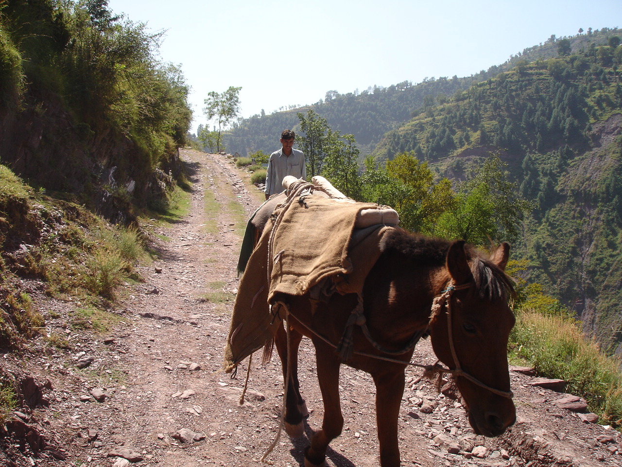 Thanks to the refurbishing of rural roads in quake-affected northern Pakistan, building supplies can now be transported more easily. Rising transport costs have hampered building efforts in the area.