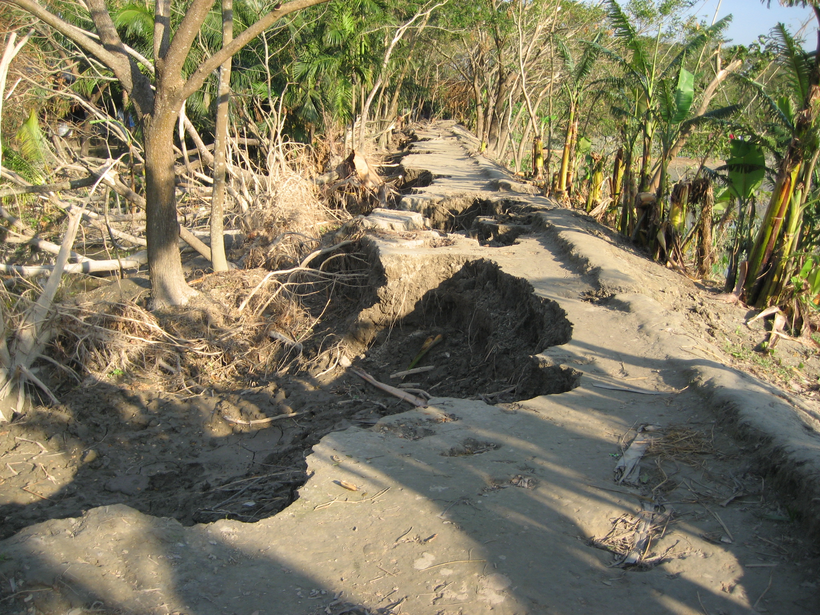 An estimated 25 percent of the country's  nearly 10,000 km of embankments were damaged when Cyclone Sidr slammed into Bangladesh's southwestern coastal belt on 15 November, killing over 3,000 and leaving millions homeless.