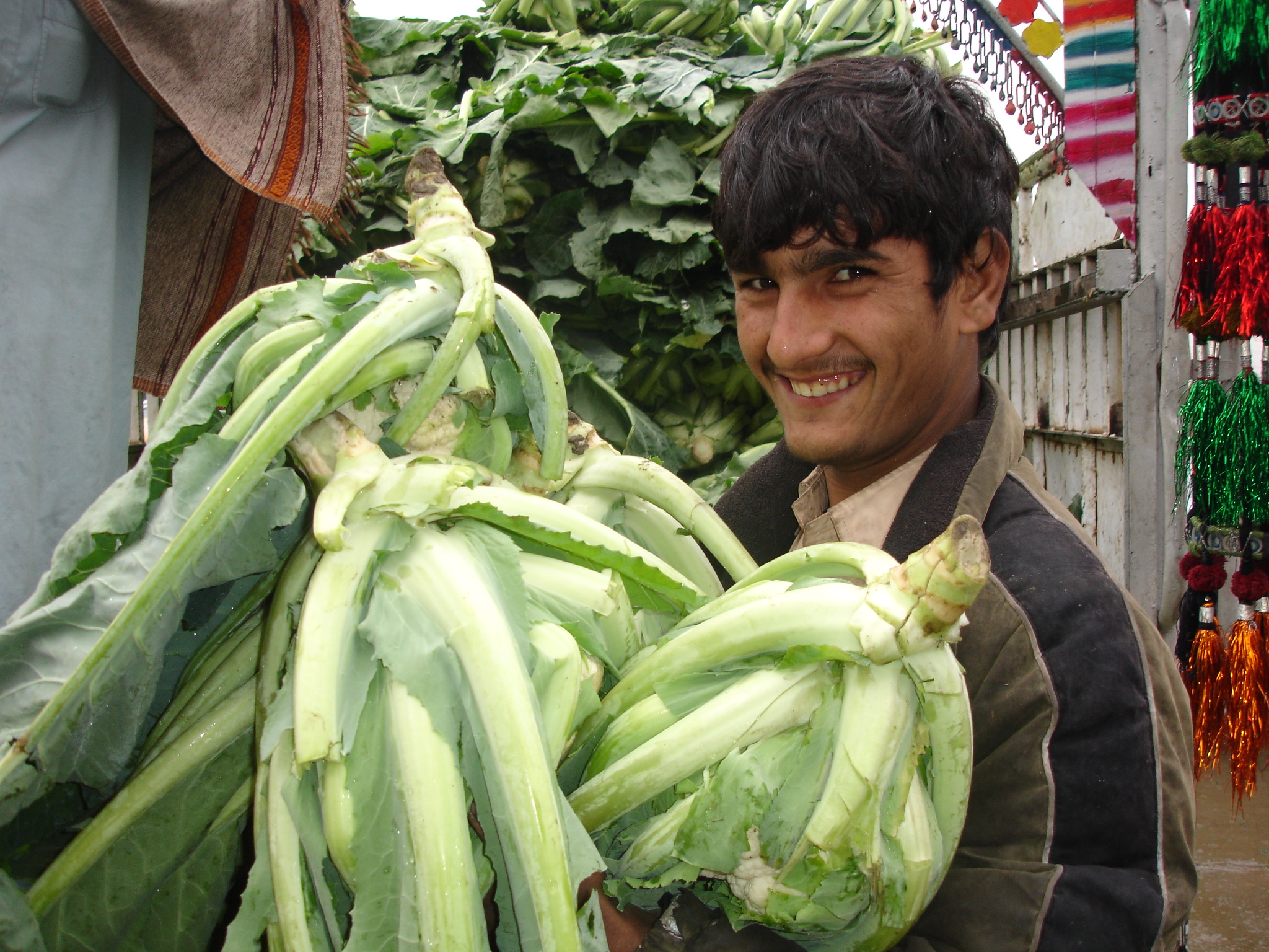 Basic food necessities have risen substantially in Pakistan's urban areas where approximately 35 percent of the country's 160 million inhabitants now live.