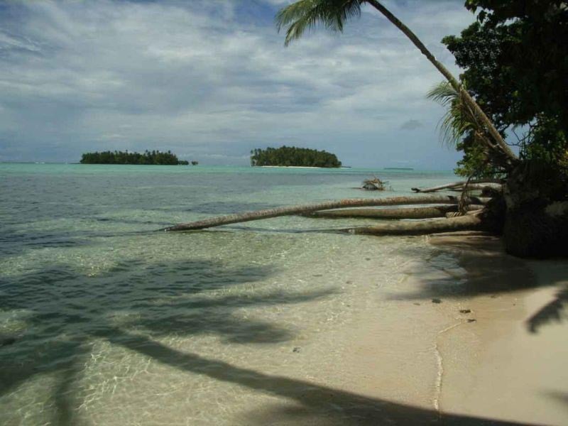 The view of Han island from Yolasa island, both part of the Carteret Islands of Papua New Guinea. Han used to be one island but has now been bisected by rising sea levels. Fallen coconut trees in the foreground were caused by the erosion of the coastline.