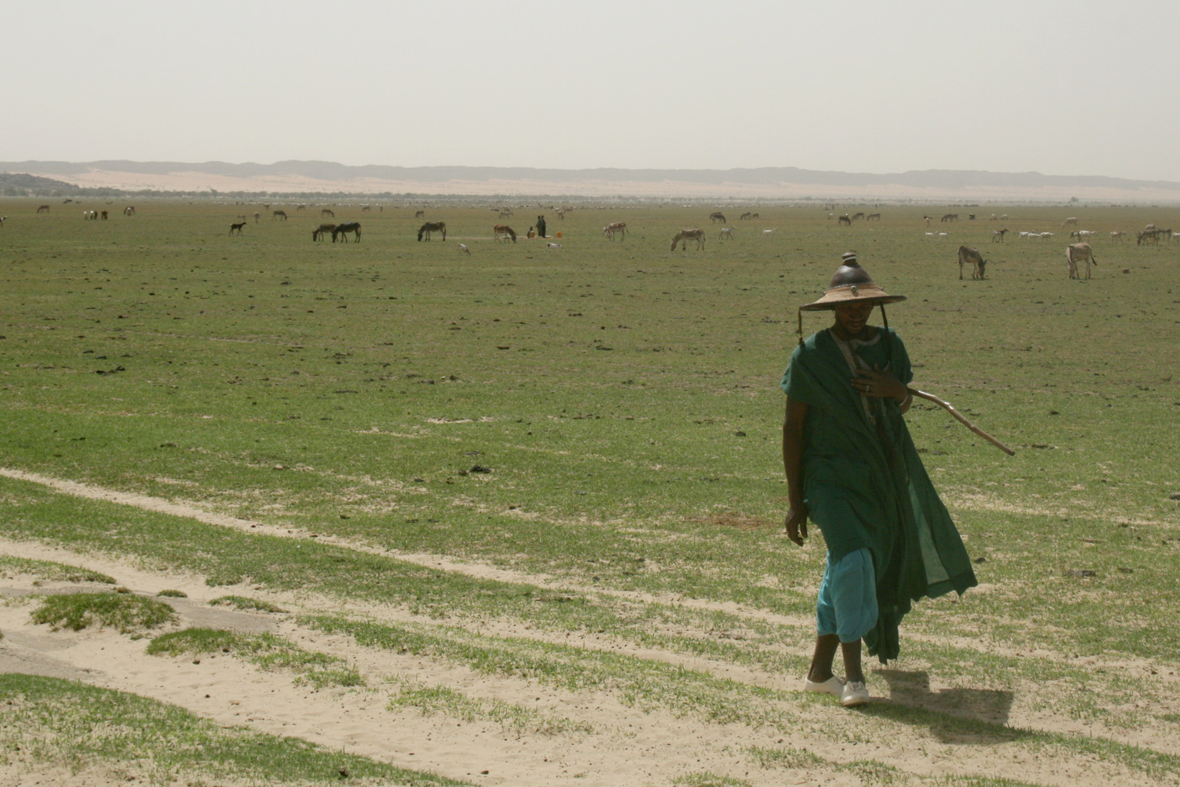 Lactib, a pastoralist in northern Mali who says his animals are small and weak because of poor rainfalls