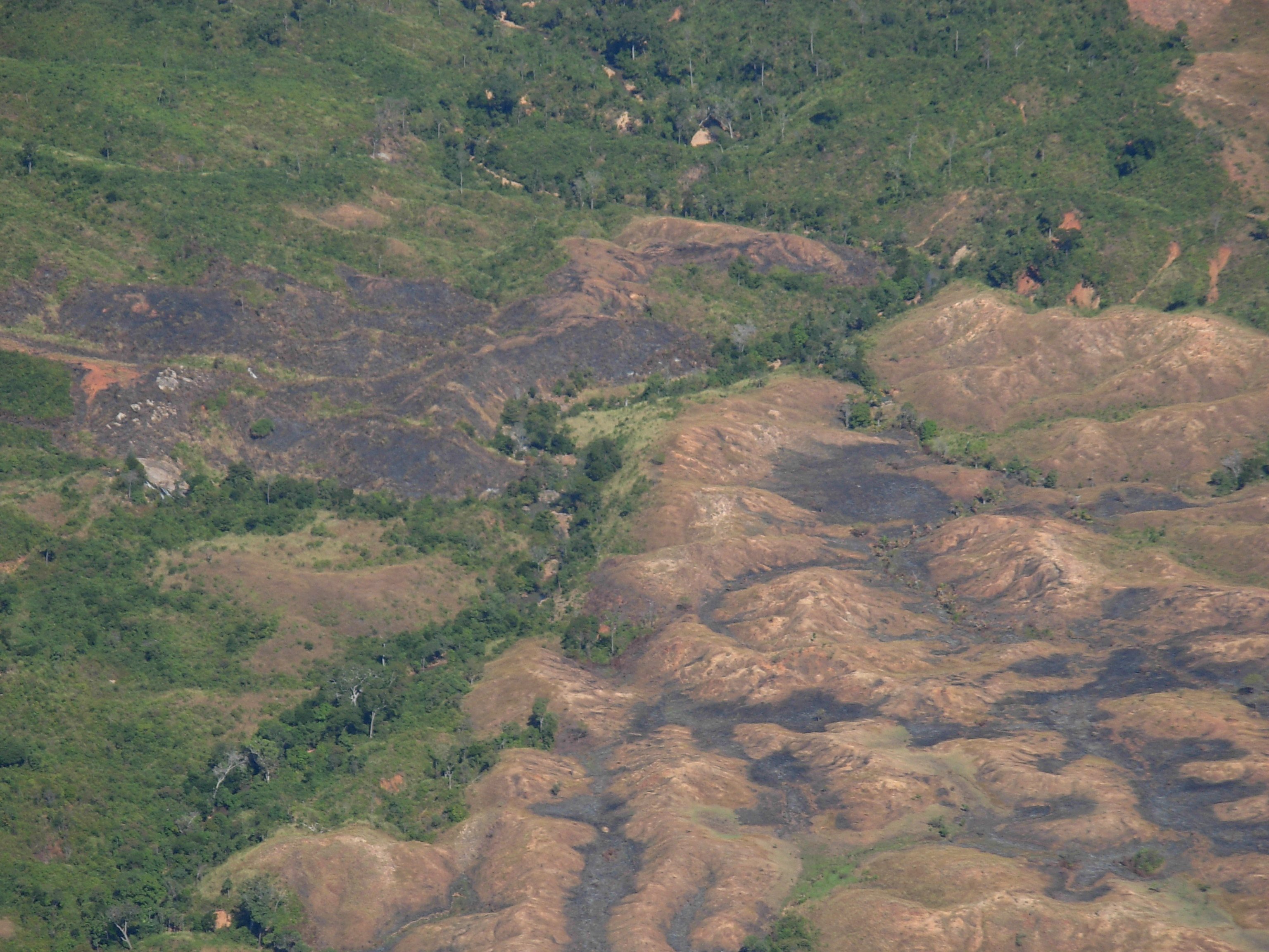 Going the way of the dodo? Environmental degradation.