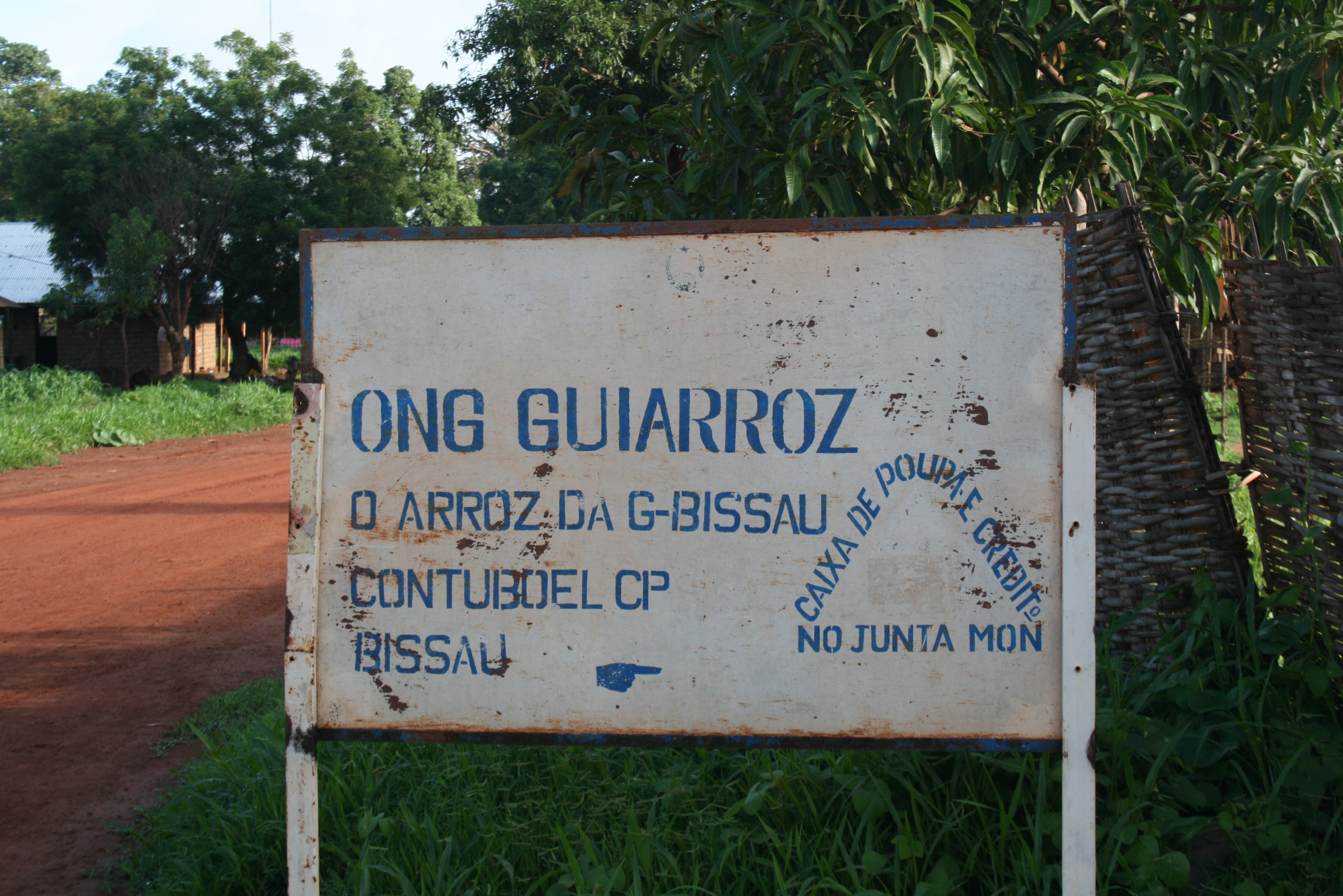 NGO Guiarroz which works with the World Food Programme in Bafata region